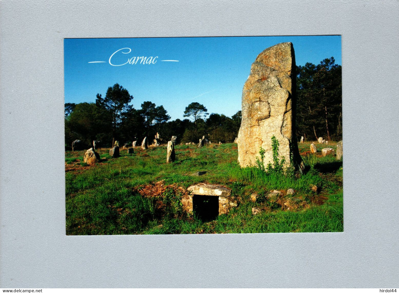 Carnac (56) : Le Tertre Du Manio - Dolmen & Menhire