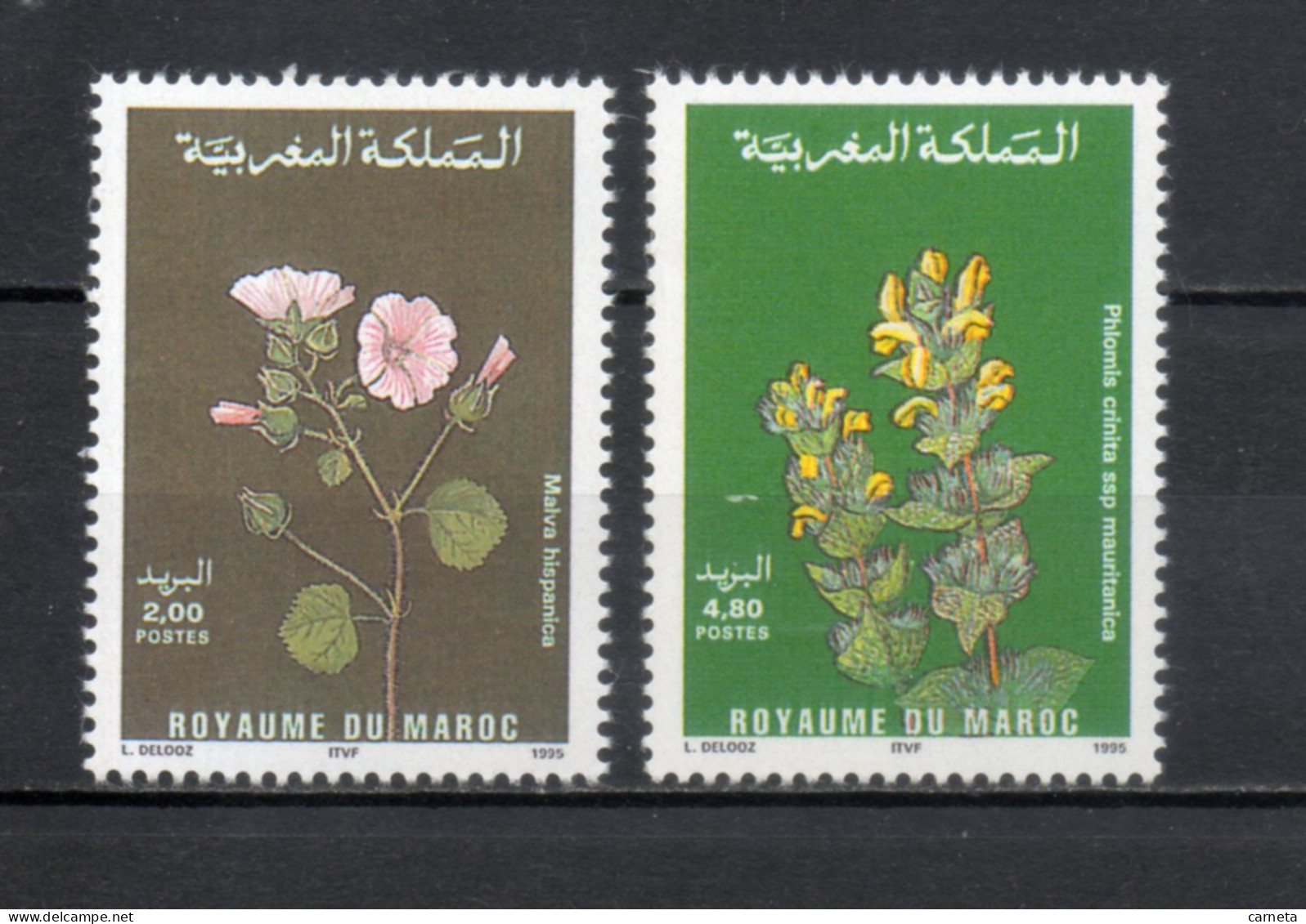 MAROC N°  1077 + 1078    NEUFS SANS CHARNIERE  COTE 4.00€    FLEUR FLORE - Morocco (1956-...)