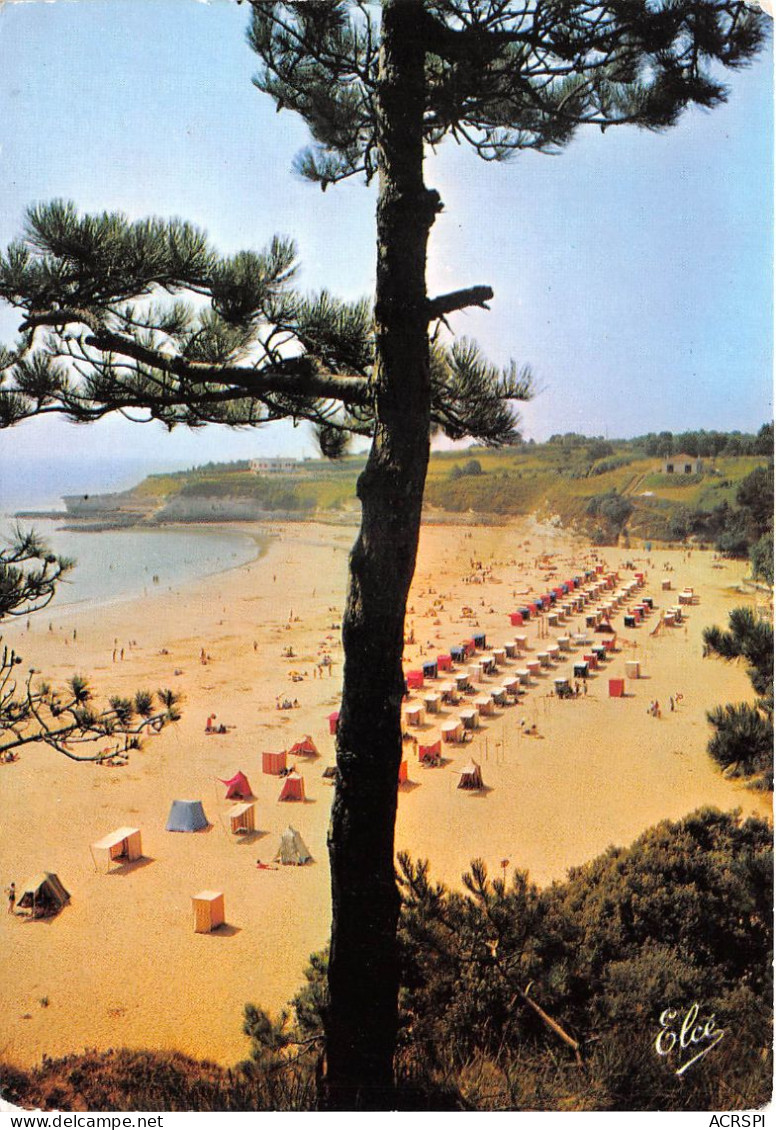 MESCHERS Plage Des Nonnes Edition Chatagneau 34 (scan Recto-verso) OO 0913 - Meschers