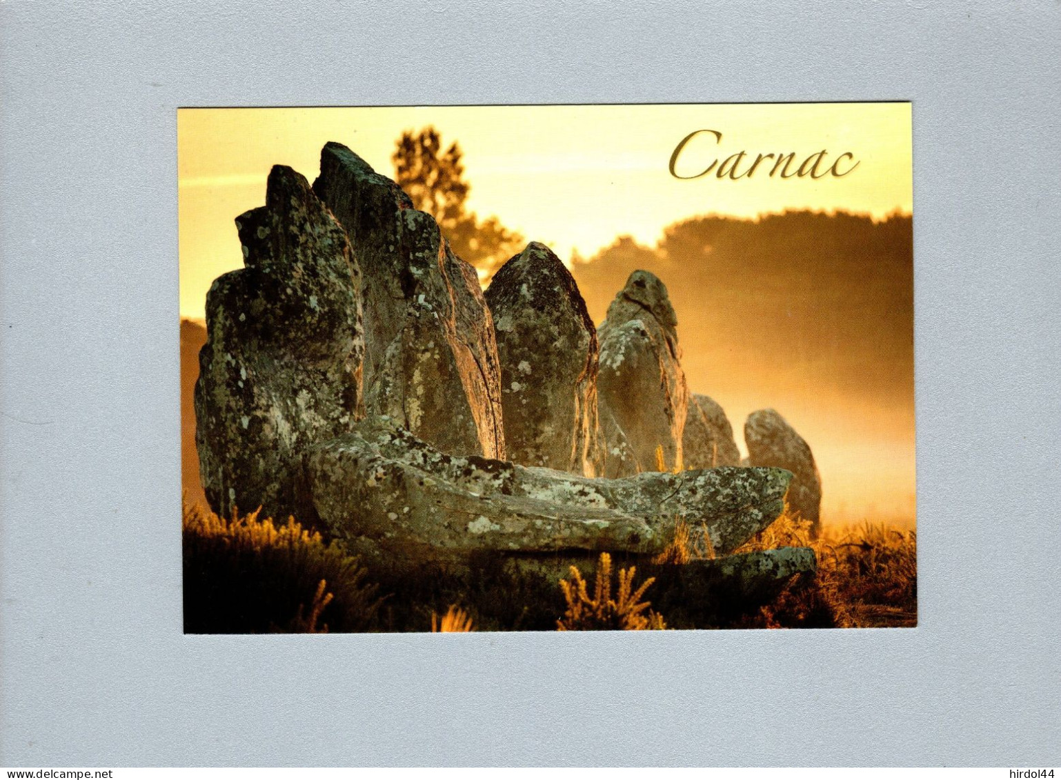 Carnac (56) : Les Alignements - Dolmen & Menhire