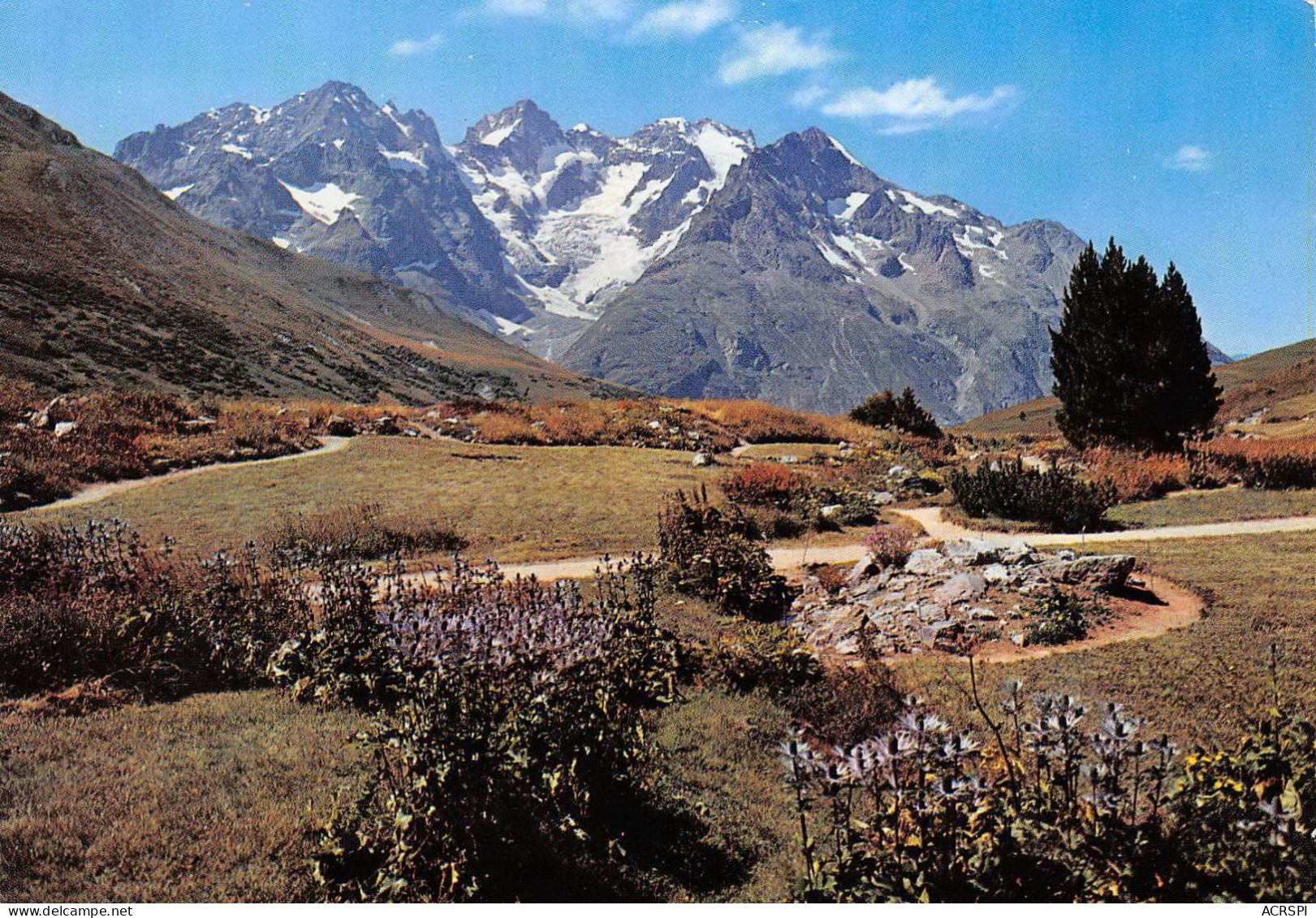 Massif De La Meije Meige Et Jardin Alpin  26 (scan Recto-verso) OO 0907 - Serre Chevalier