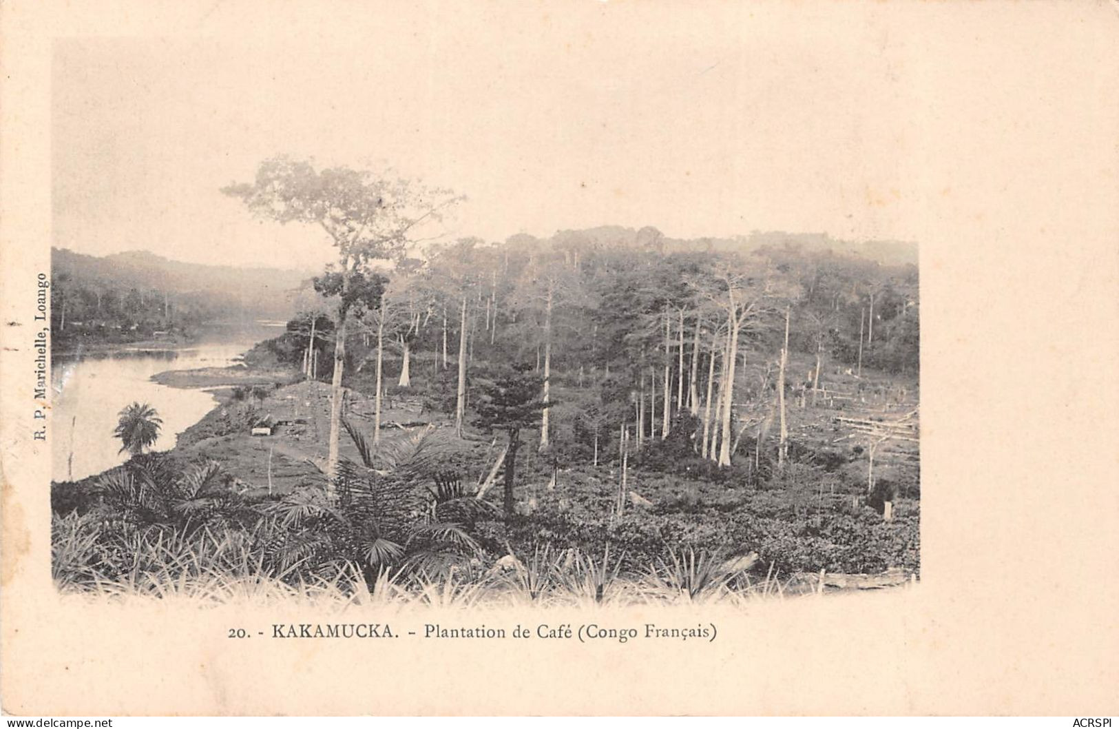 CONGO FRANCAIS  KAKAMUCKA -- Plantation De Café (Congo Français)  Carte Vierge  (scan Recto-verso) OO 0970 - Congo Francés