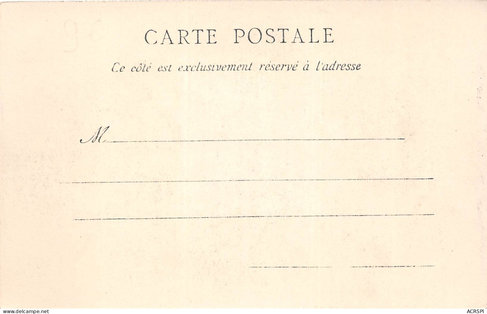 MALI Soudan Francais AUTRUCHES Domestiques Carte Vierge Non Circulé Dos Simple Coll Fortier (scan Recto-verso) OO 0967 - Mali
