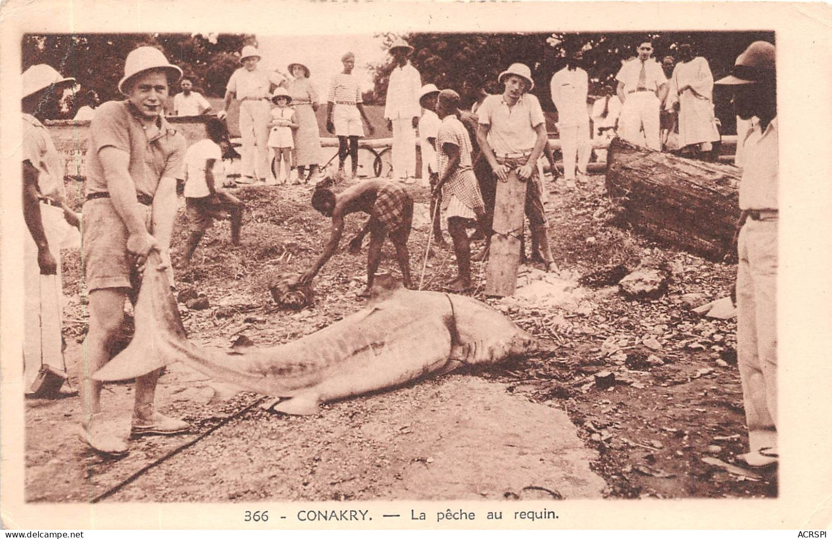 GUINEE Francaise La Peche Au Requin A Conakry  (scan Recto-verso) OO 0963 - Guinée Française