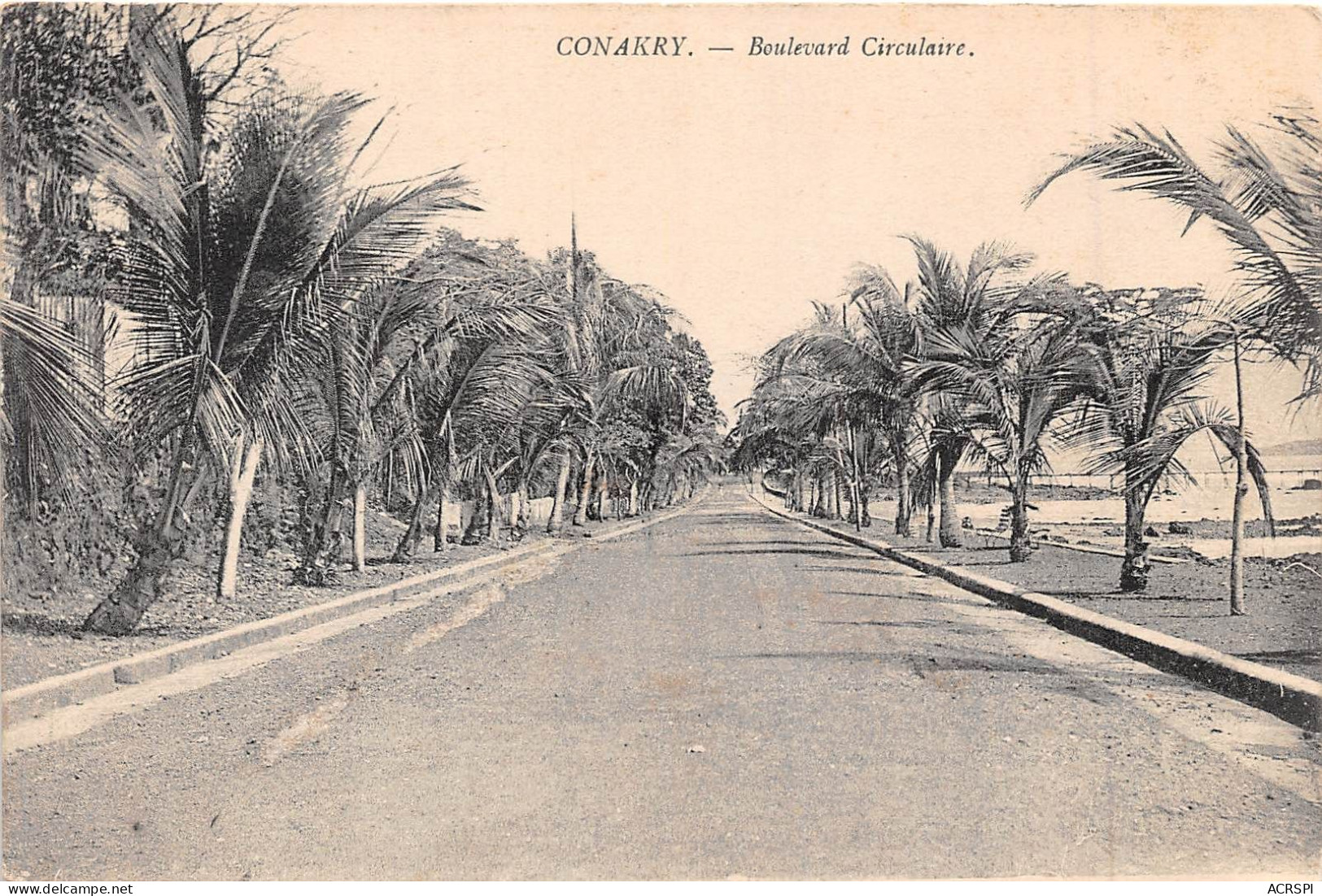 GUINEE Francaise  Conakry Boulevard Circulaire  (scan Recto-verso) OO 0963 - Guinea Francese