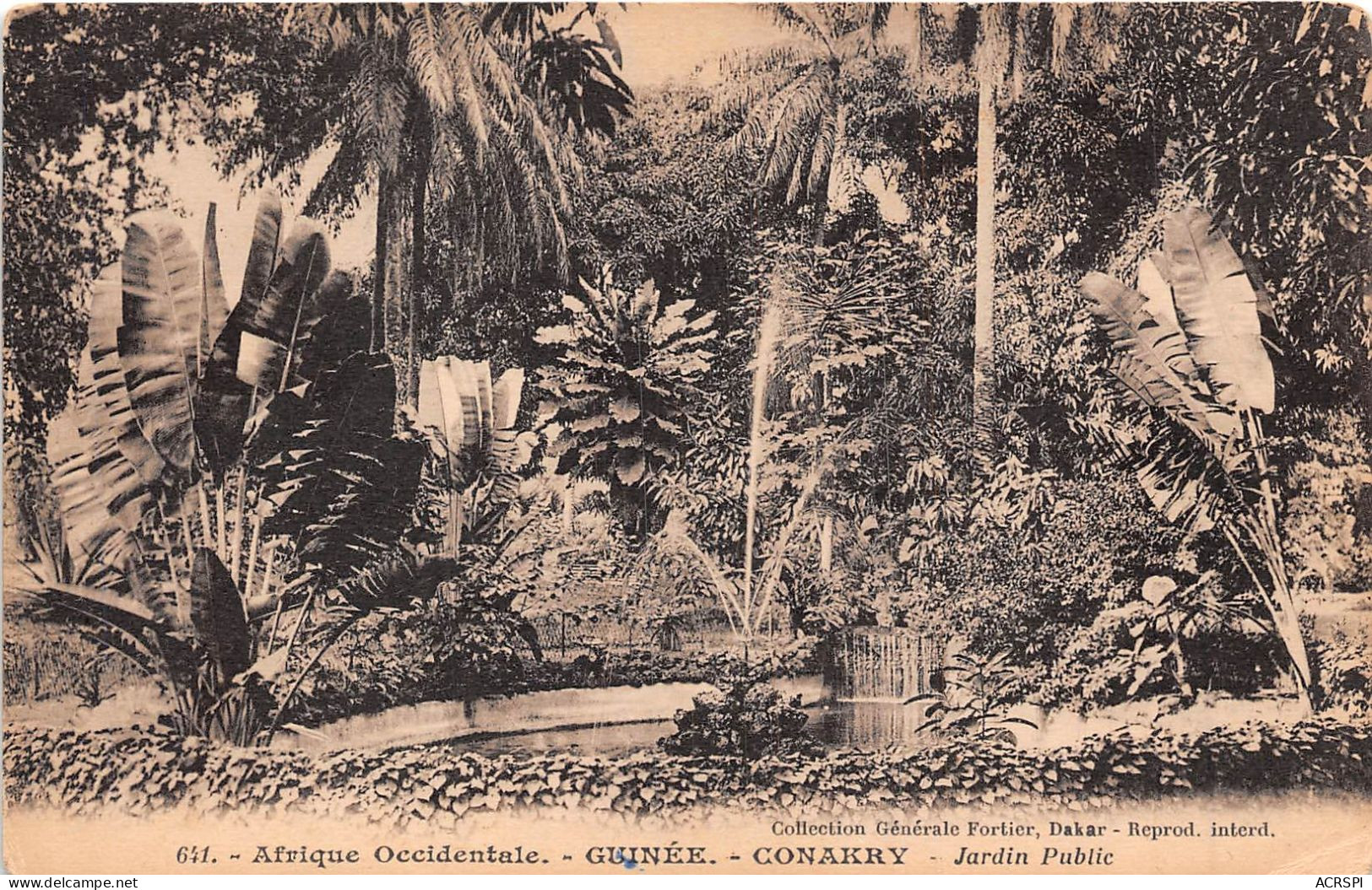 GUINEE Francaise  Conakry Jardin Public  (scan Recto-verso) OO 0963 - Guinée Française