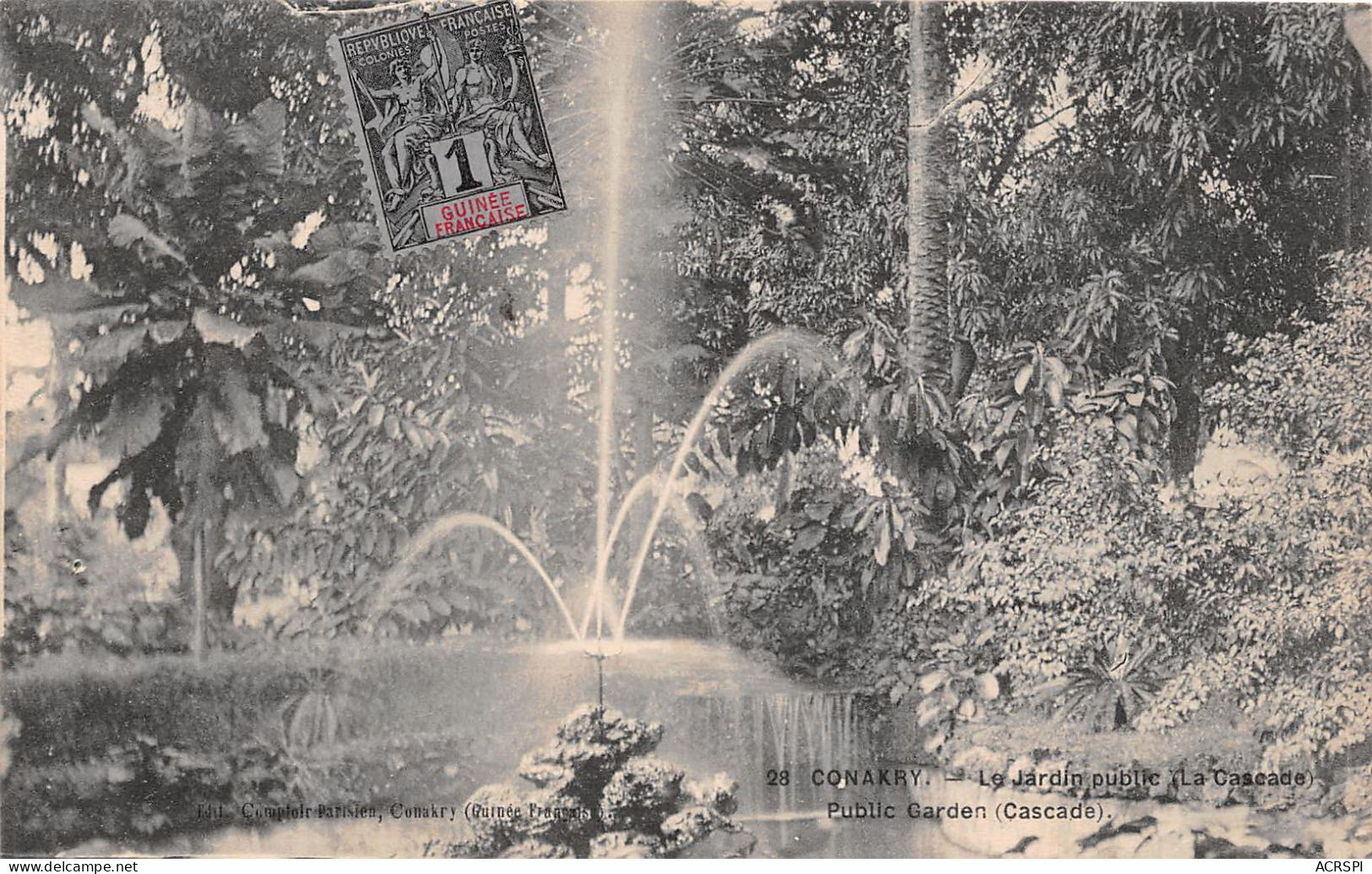 GUINEE FRANCAISE  CONAKRY , JARDIN PUBLIC   (scan Recto-verso) OO 0958 - Guinée Française