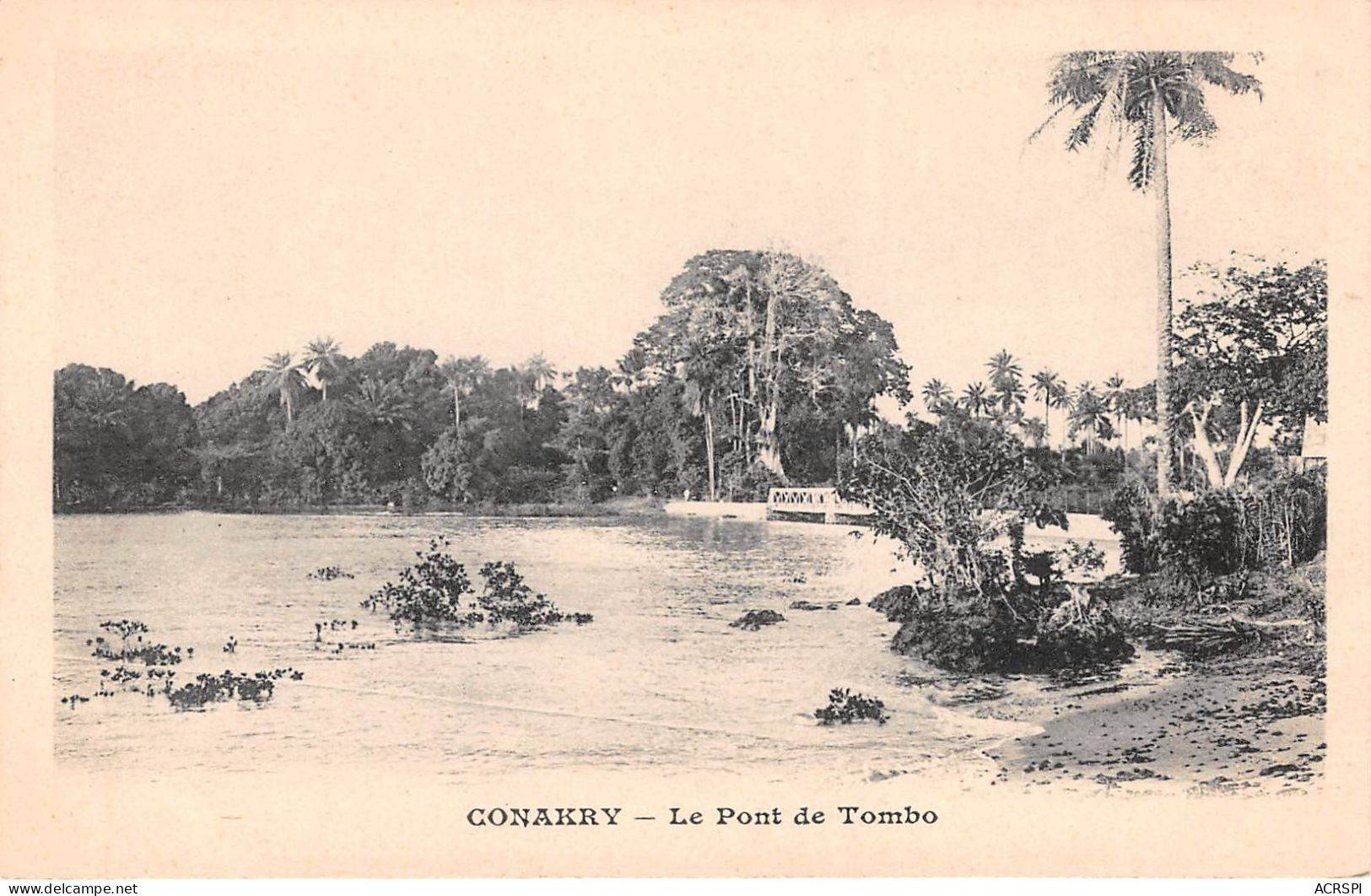 GUINEE FRANCAISE CONAKRY  Le Pont De Tombo  Carte Vierge  (scan Recto-verso) OO 0957 - Guinée Française