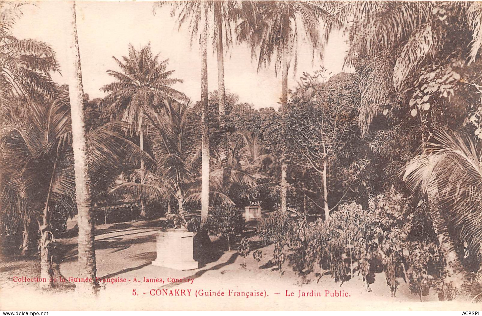 GUINEE Francaise  Conakry Le Jardin Public   (scan Recto-verso) OO 0951 - Guinée Française