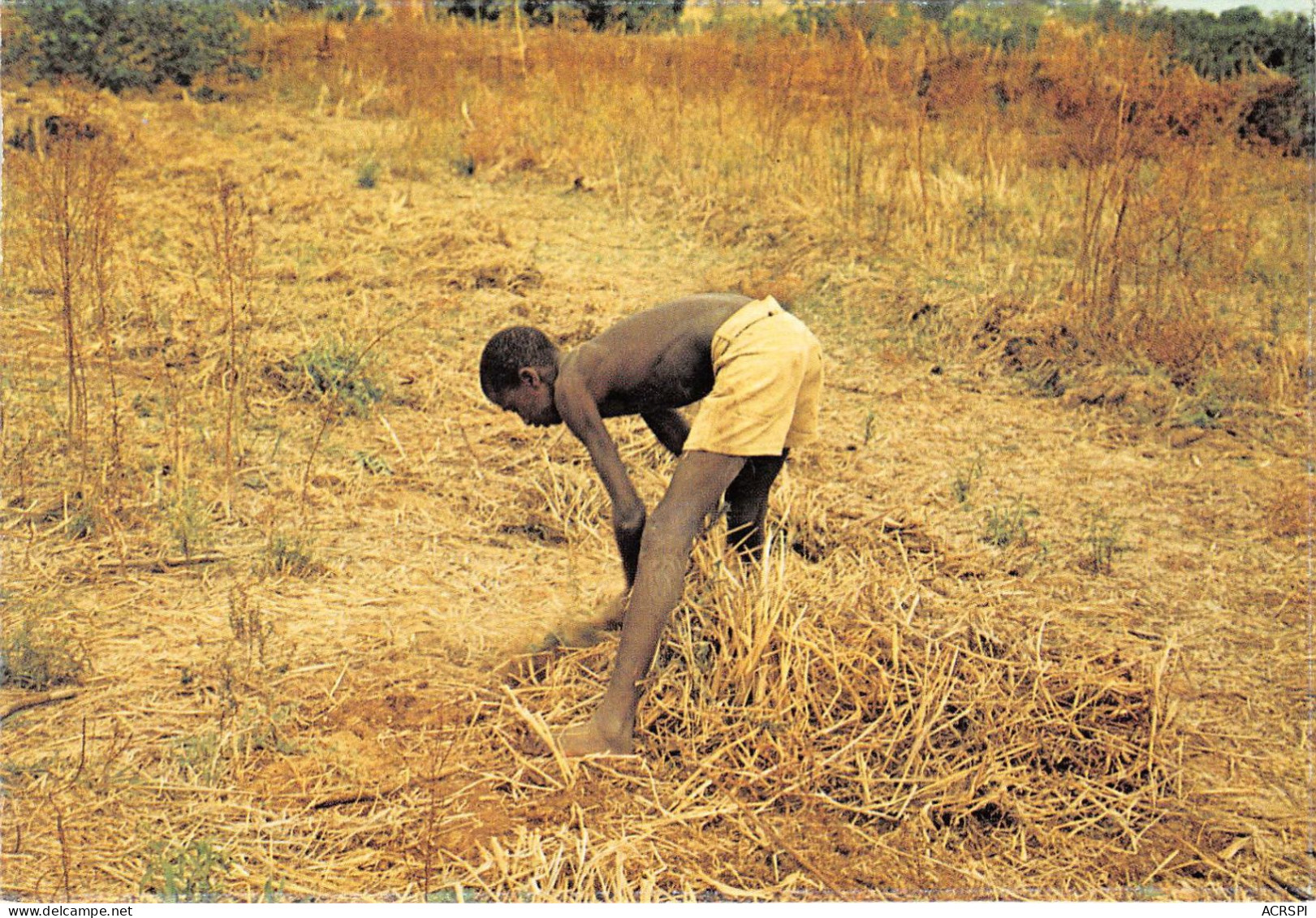 MALI Soudan Francais KAMBILA - TRAVAIL AVEC LA DABA - PETITE PIOCHE AU MANCHE TRES COURT  (scan Recto-verso) OO 0943 - Mali