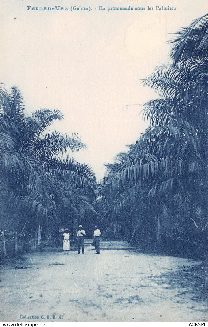 GABON   Fernan Vaz  Promenade Sous Les Palmiers  Carte Vierge   (scan Recto-verso) OO 0941 - Gabun