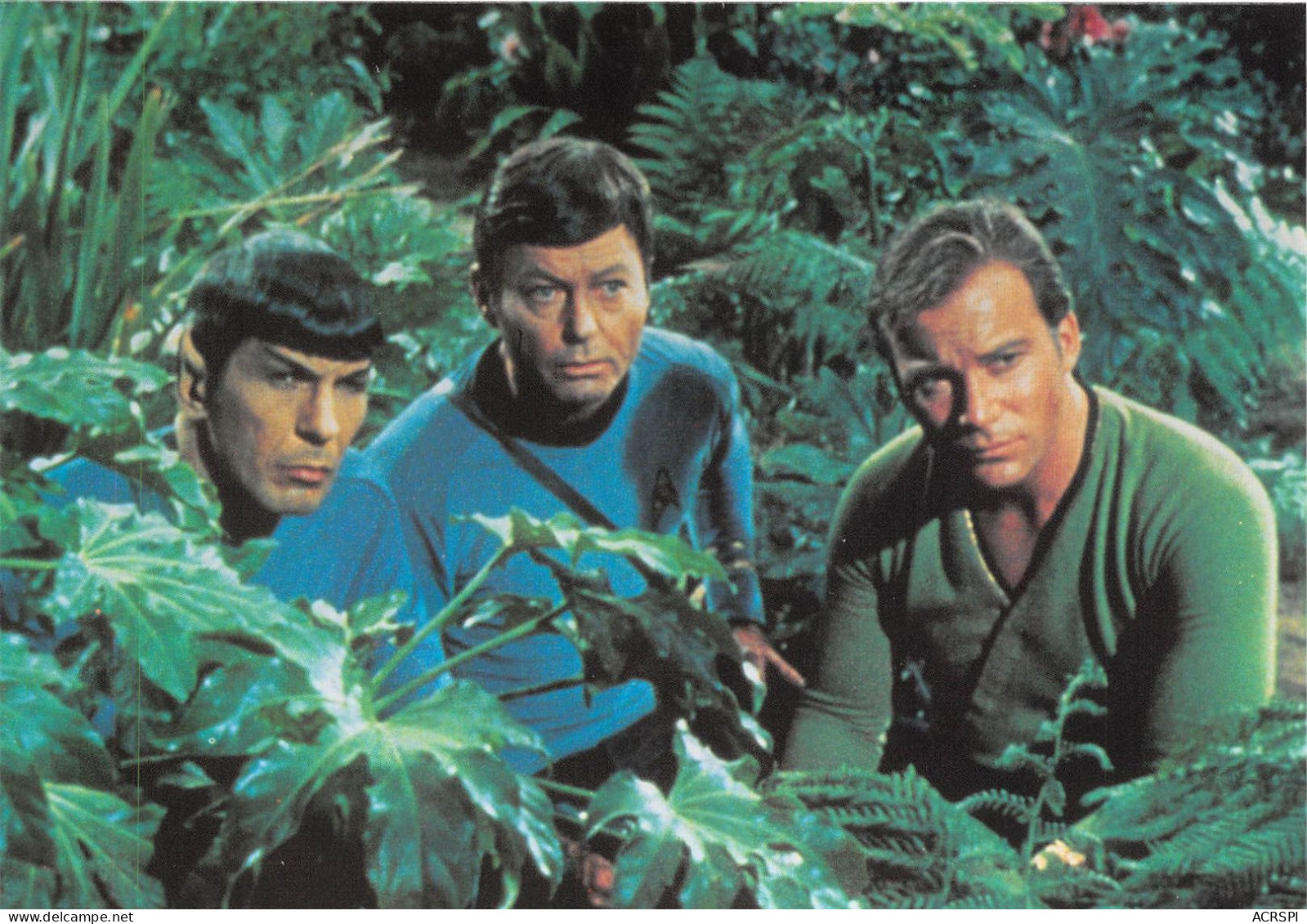 STAR  TREK  SPOCK  KIRK  Mc COY Dans La Verdure  Carte Vierge  105 121 (scan Recto-verso) OO 0992 - Séries TV