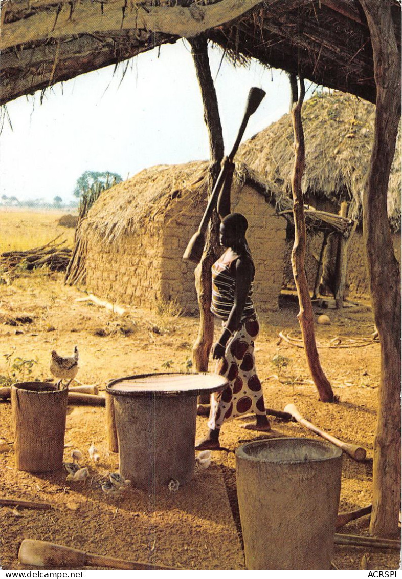 COTE D'IVOIRE  Scene De Village Pilage Du Mil Region De KORHOGO  OO 0978 - Ivoorkust