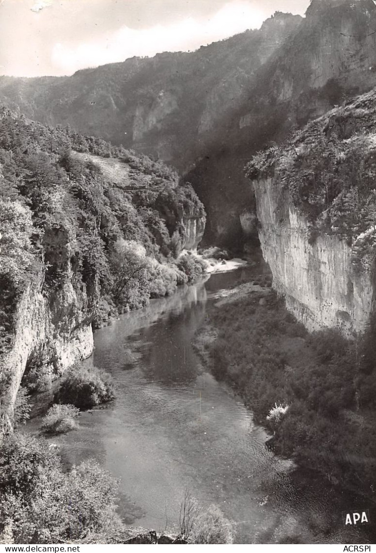 GORGES DU TARN - Les Détroits   (scan Recto-verso) OO 0978 - Gorges Du Tarn