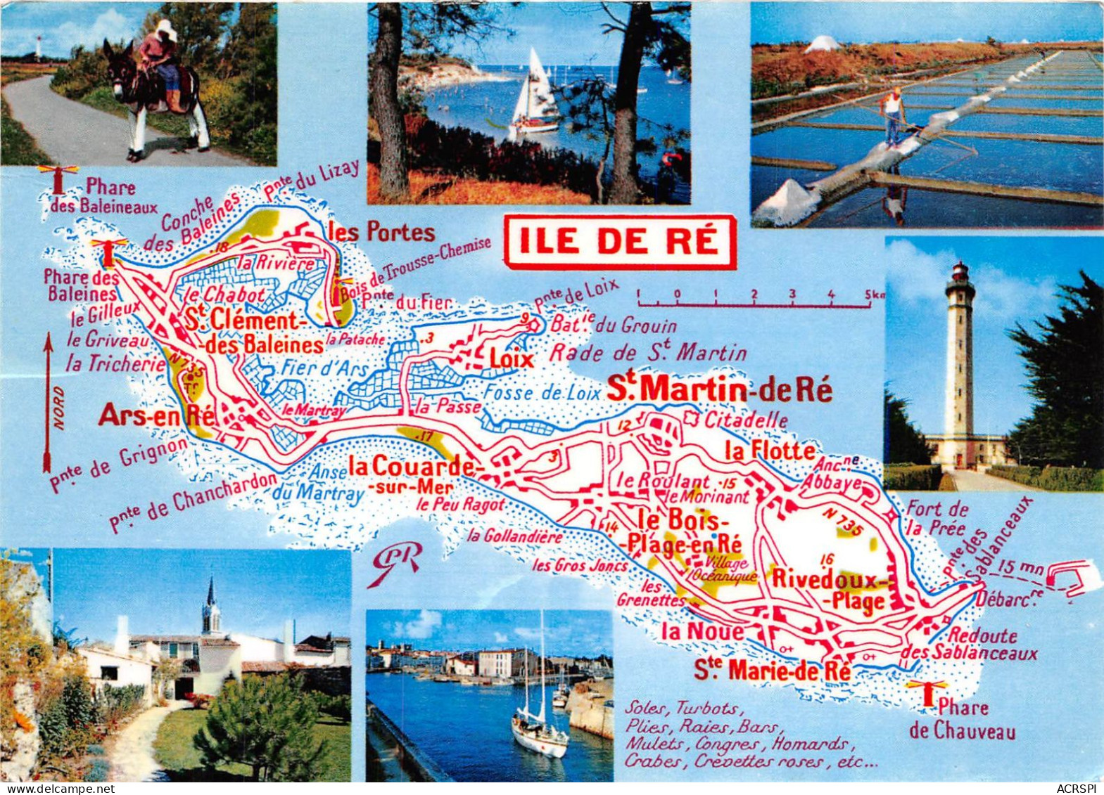 Ile De Ré  Carte De L'ile  MAP  (scan Recto-verso) OO 0977 - Saint-Martin-de-Ré