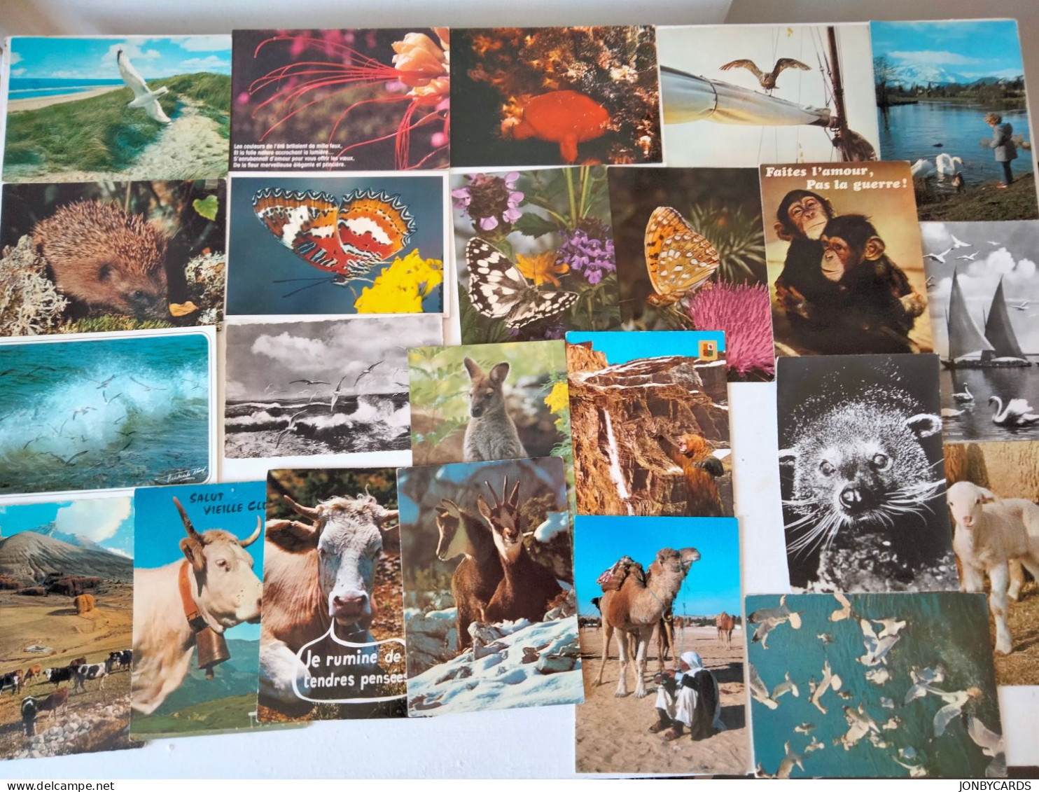 Animals Mixed X 83 Birds,Wild,Farm,insects.+++#48. - Colecciones Y Lotes