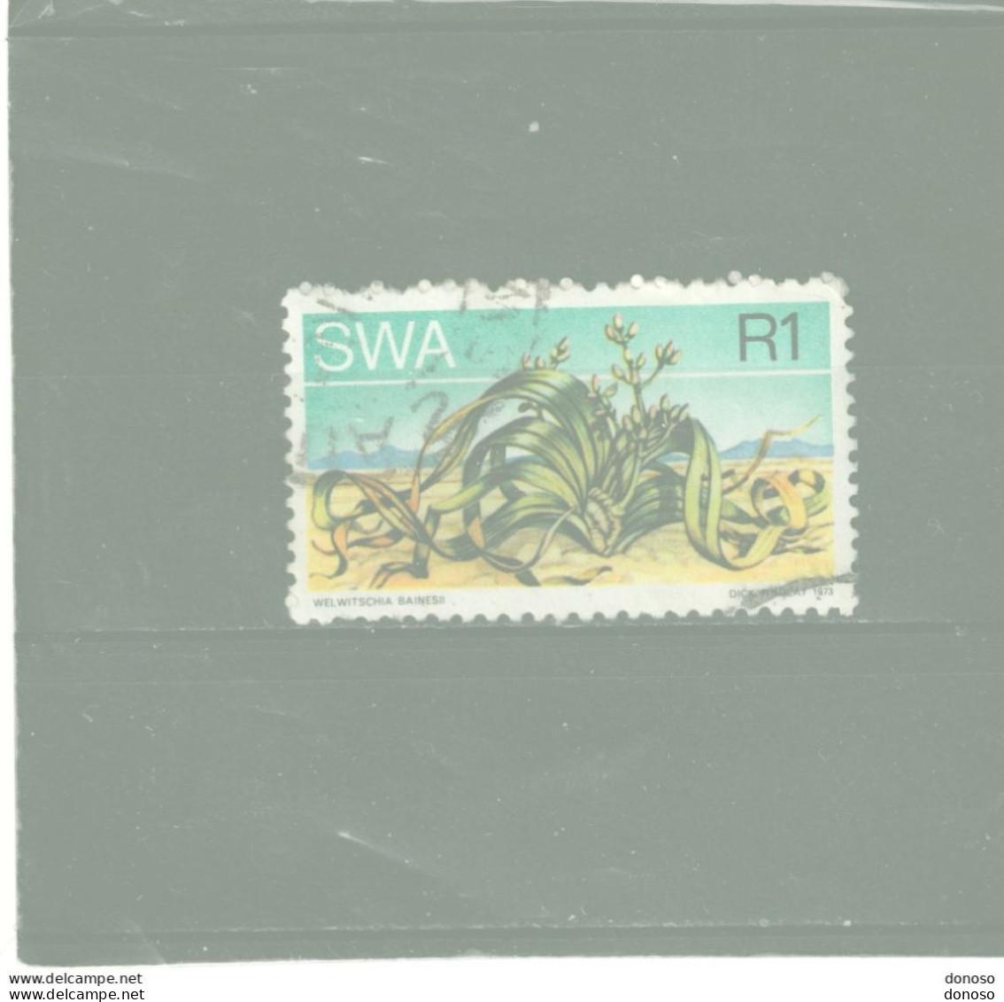 SWA SUD OUEST AFRICAIN 1973 Welwischia Yvert 331 Oblitéré Cote Yv 6,50 Euros - Afrique Du Sud-Ouest (1923-1990)