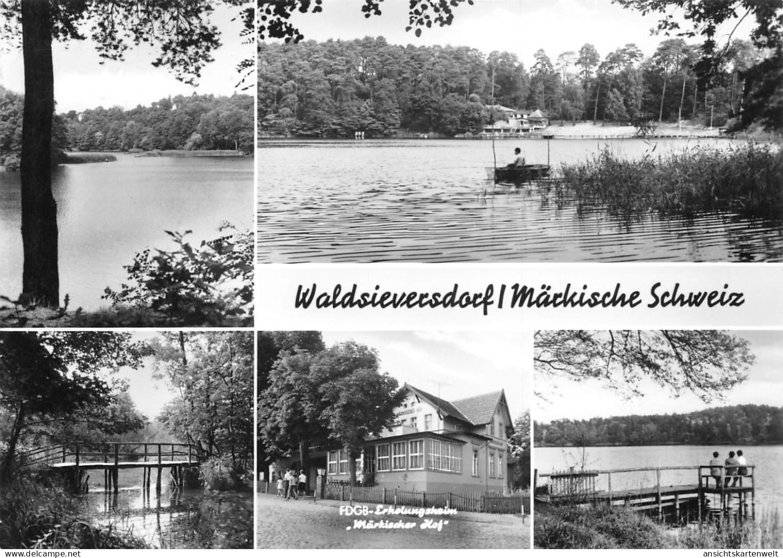 Waldsieversdorf (Kreis Strausberg) Teilansichten Gl1987 #168.086 - Other & Unclassified