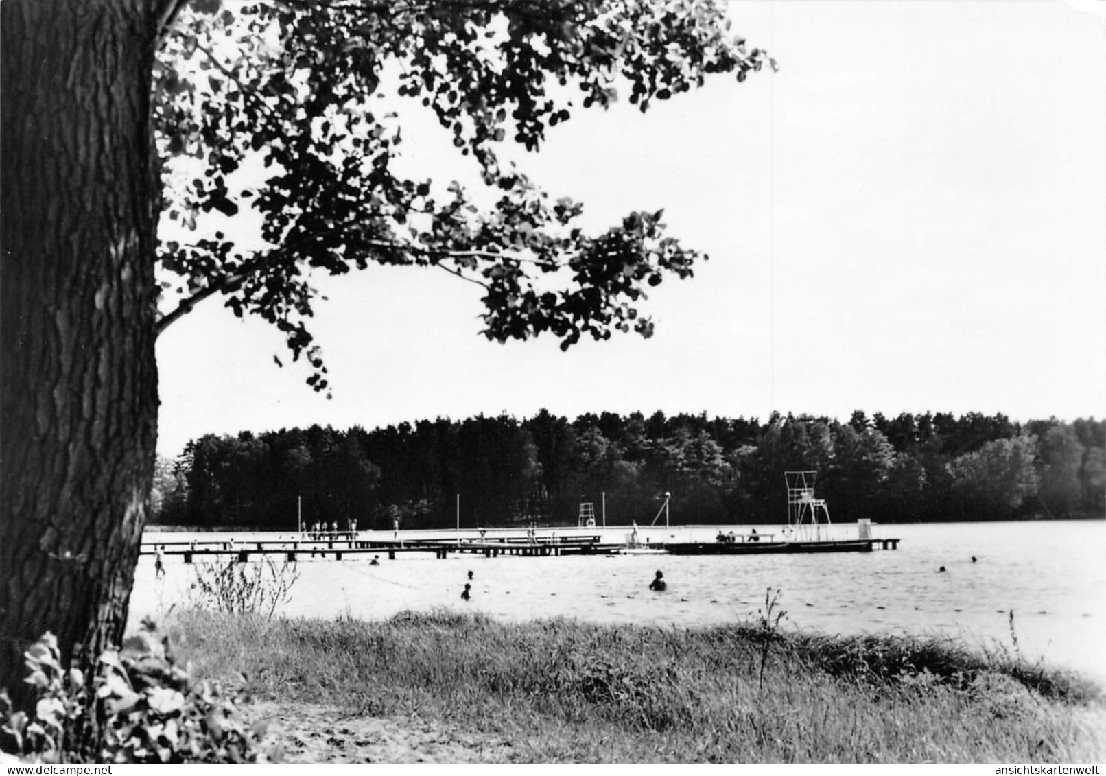 Biesenthal Badeanstalt Am Wukensee Gl1974 #168.121 - Sonstige & Ohne Zuordnung