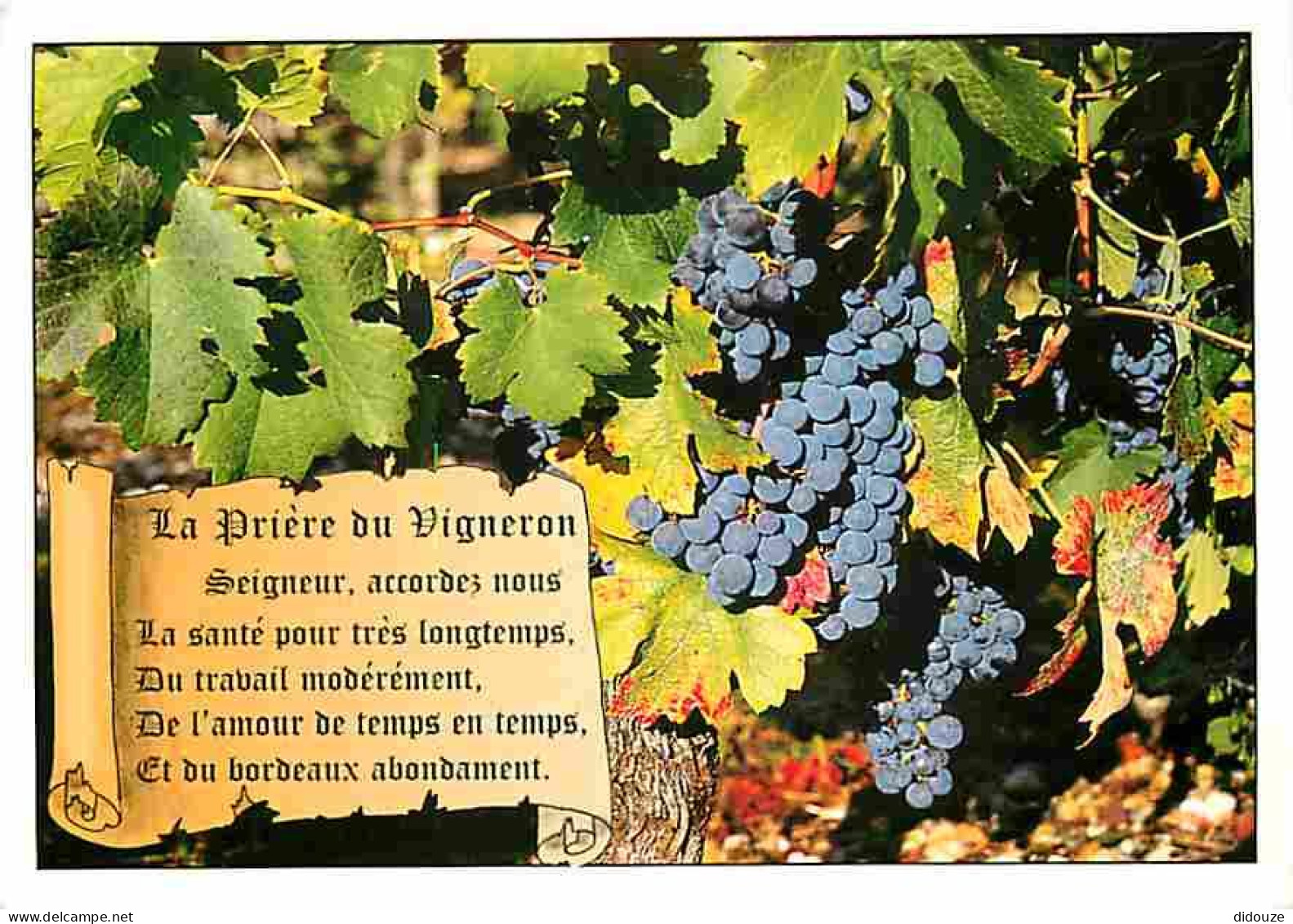 Vignes - La Prière Du Vigneron - Grappe De Raisins - Vendanges - Raisins - Vin - CPM - Voir Scans Recto-Verso - Vigne