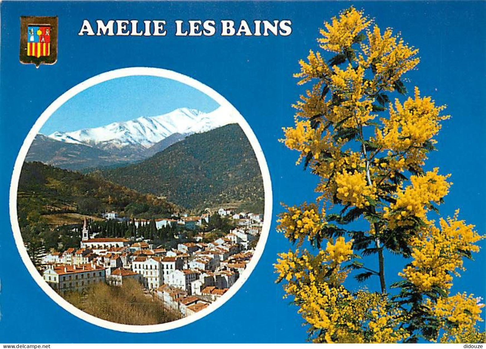 66 - Amélie Les Bains - Vue Générale - CPM - Voir Scans Recto-Verso - Sonstige & Ohne Zuordnung