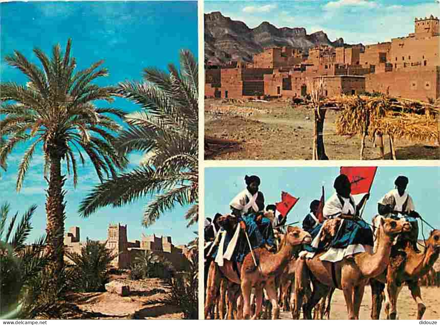 Maroc - Sud Marocain - Multivues - Chameaux - Carte Neuve - CPM - Voir Scans Recto-Verso - Andere & Zonder Classificatie