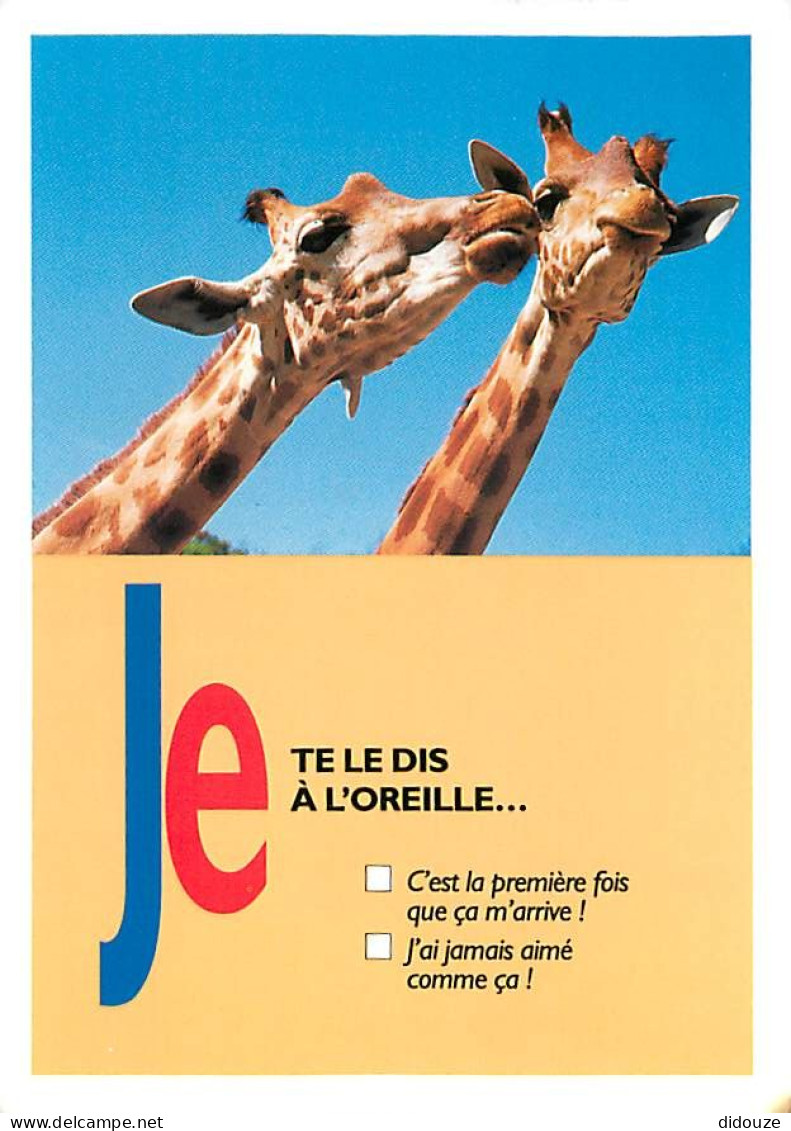 Animaux - Girafes - Carte Humoristique - CPM - Voir Scans Recto-Verso - Giraffen