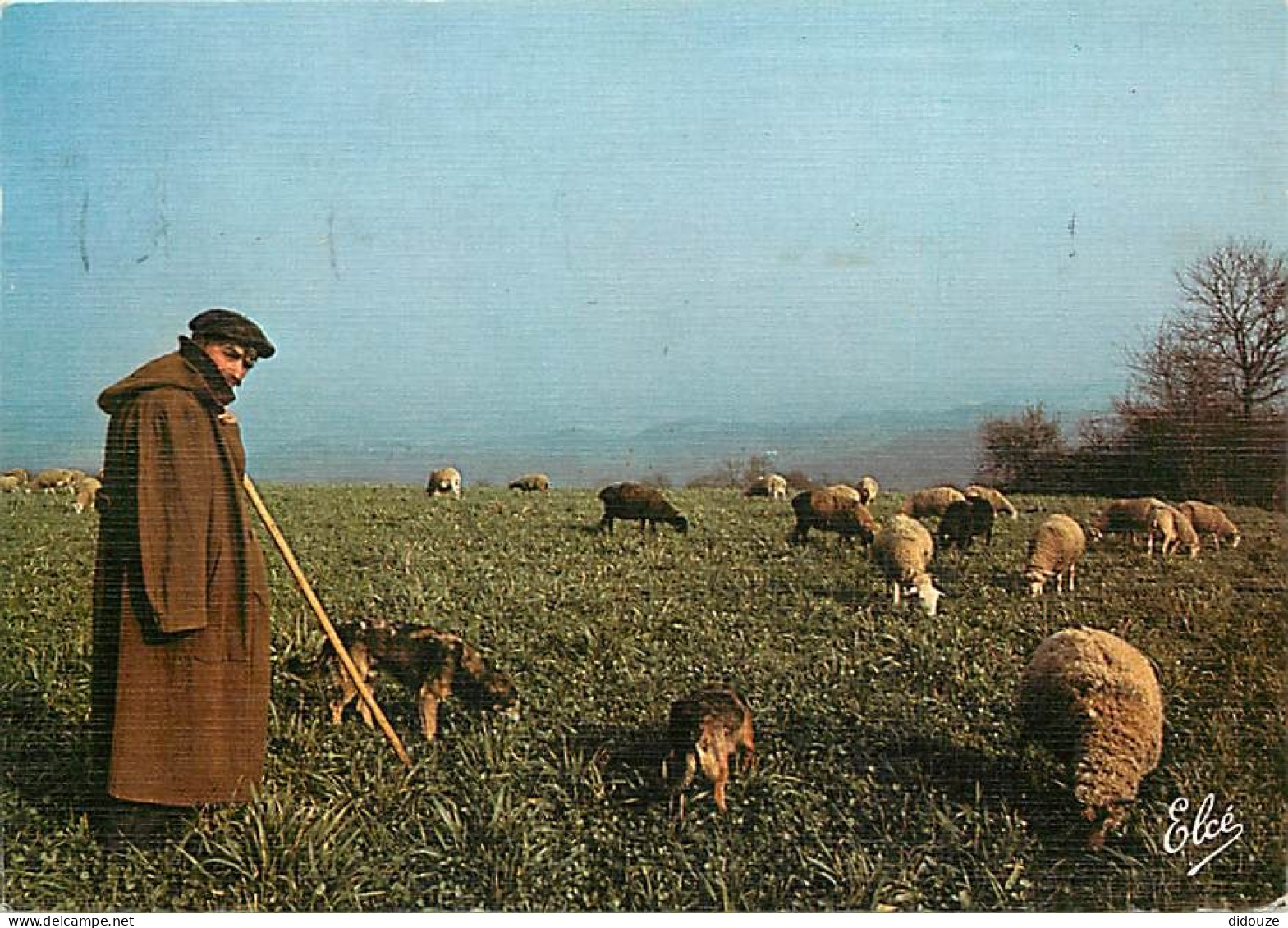 Animaux - Moutons - Le Berger Gardant Ses Moutons - Chiens - CPM - Voir Scans Recto-Verso - Sonstige & Ohne Zuordnung