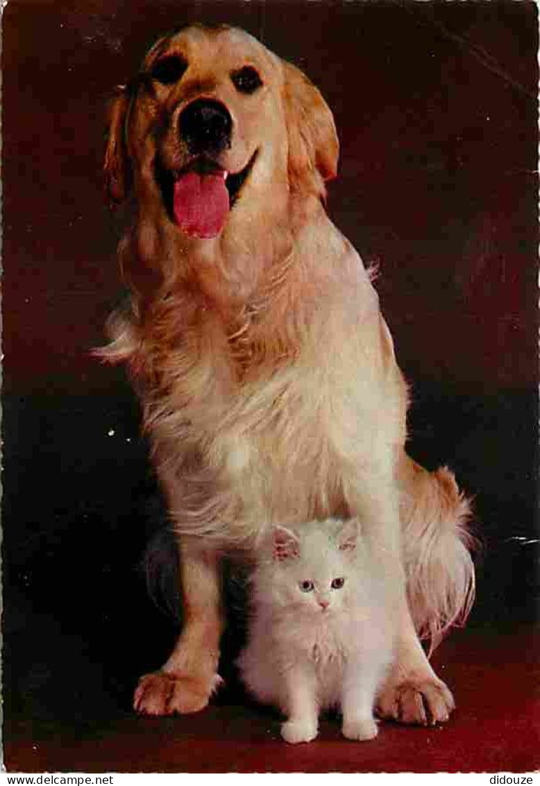 Animaux - Chats - Chiens - CPM - Voir Scans Recto-Verso - Cats