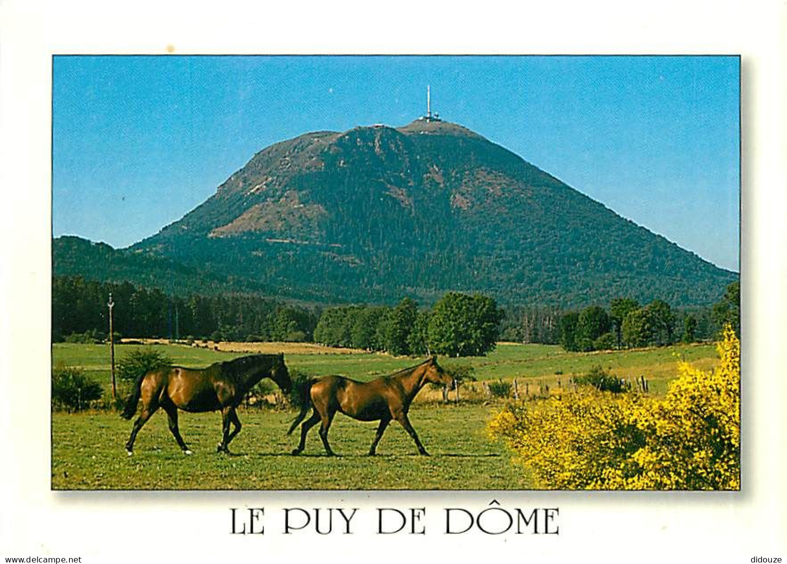 Animaux - Chevaux - Le Puy De Dome - Carte Neuve - CPM - Voir Scans Recto-Verso - Chevaux
