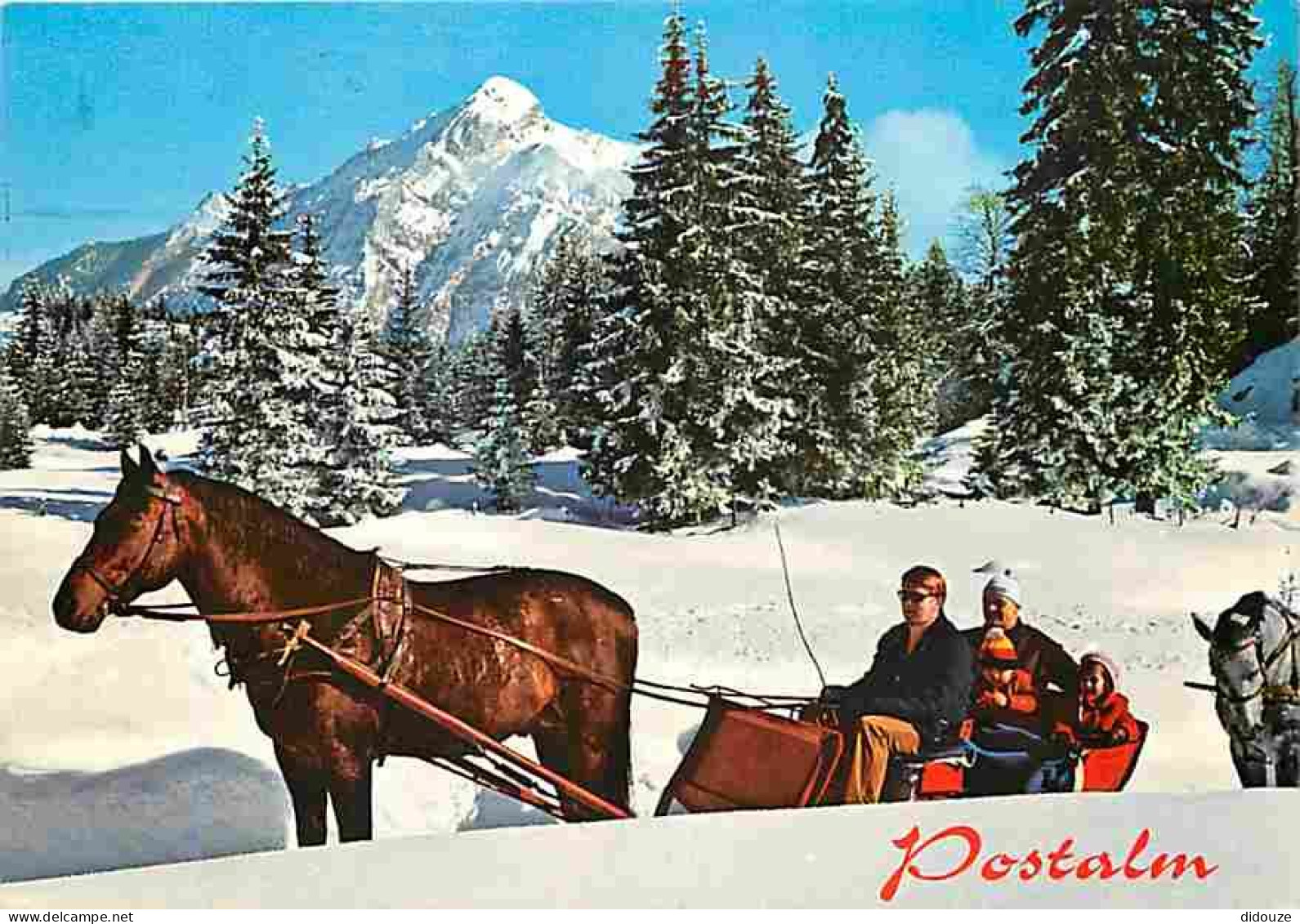 Animaux - Chevaux - Schlittenfahrt Im Herrlichen - Postalmgebiet - Salzkammergut - Voir Timbre - CPM - Voir Scans Recto- - Horses