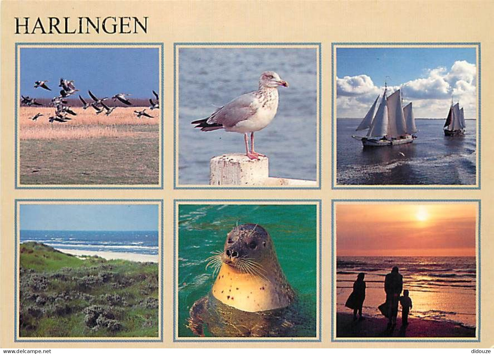 Pays-Bas - Nederland - Harlingen - Multivues - CPM - Voir Scans Recto-Verso - Harlingen