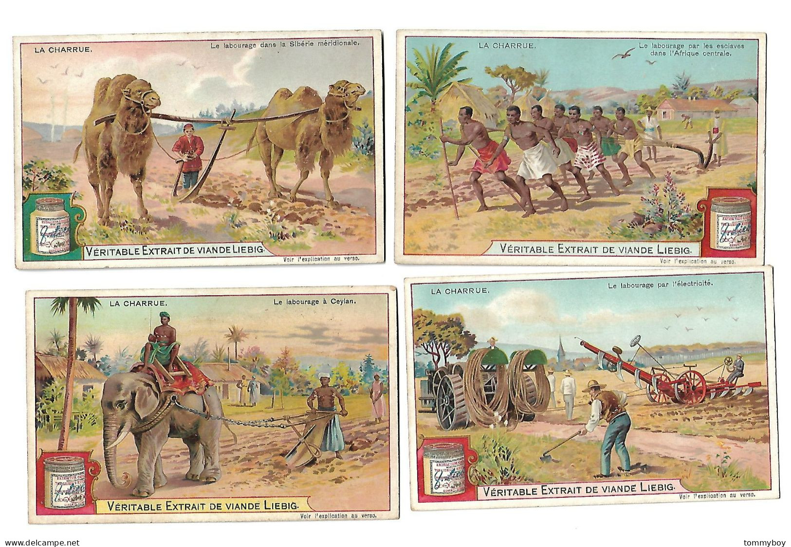 S 759, Liebig 6 Cards, La Charrue (ref B19) - Liebig