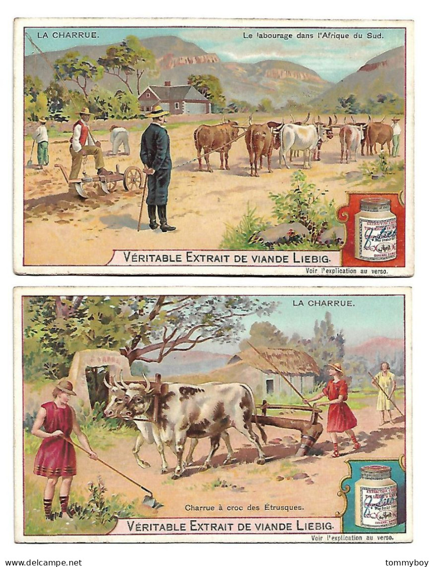 S 759, Liebig 6 Cards, La Charrue (ref B19) - Liebig