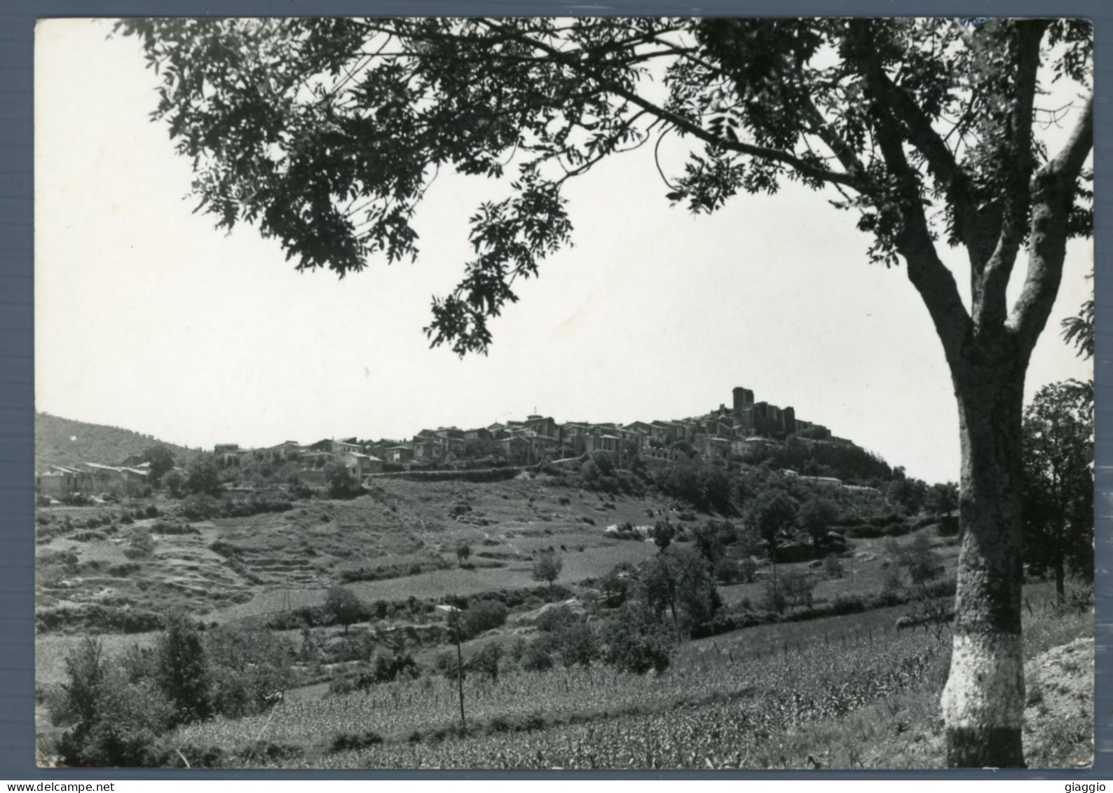 °°° Cartolina - Trevi Nel Lazio - Panorama - Viaggiata °°° - Frosinone