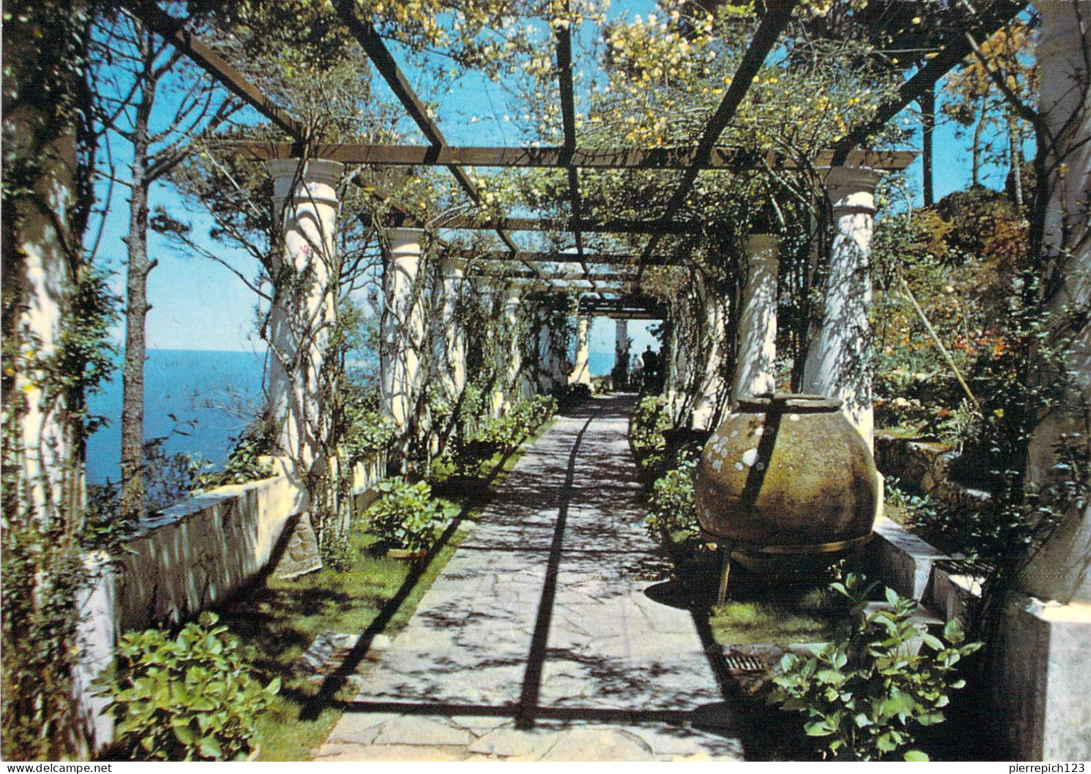 Anacapri - Villa San Michele - "La Pergola" - Sonstige & Ohne Zuordnung