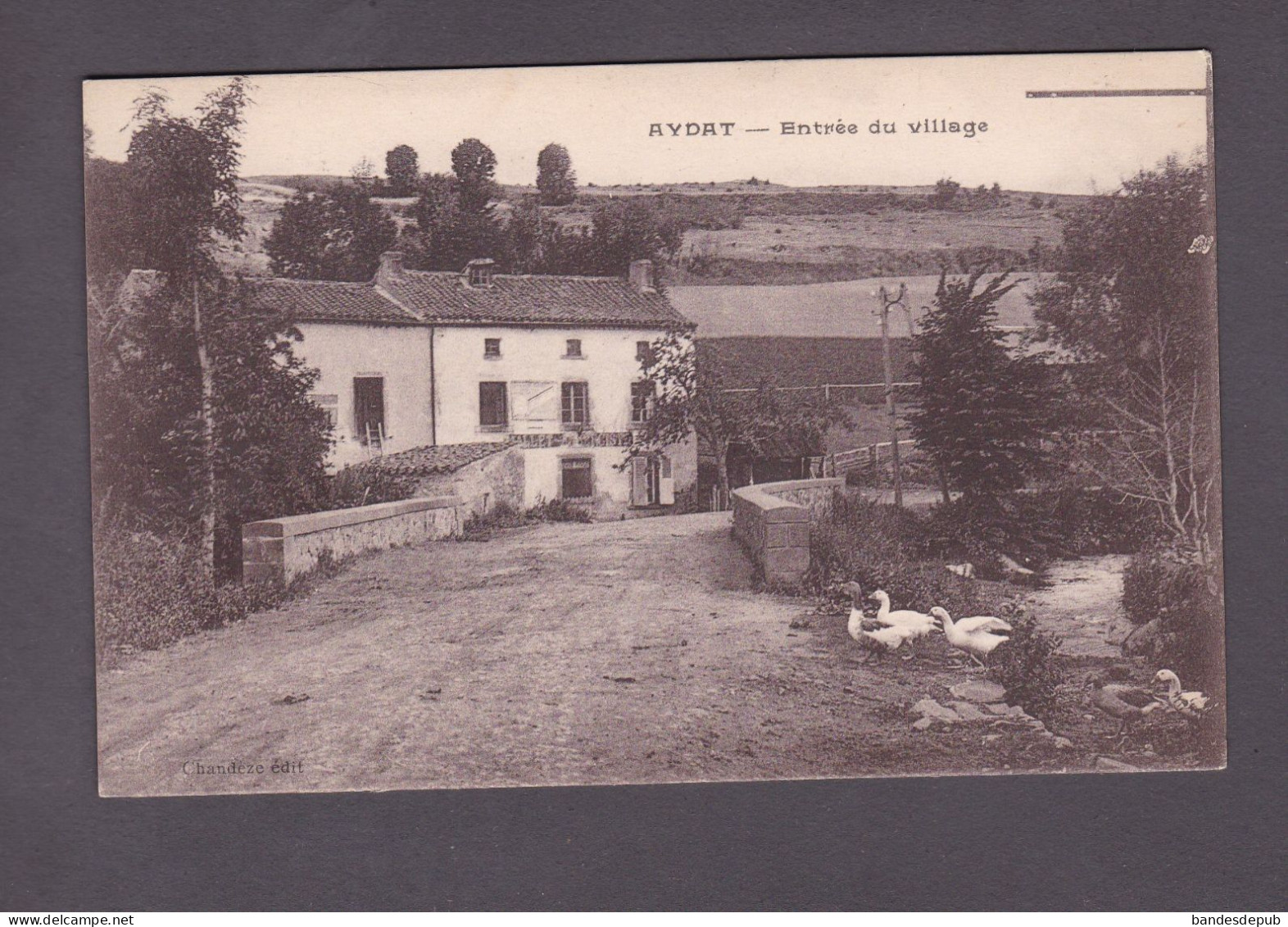 Aydat Puy De Dome Entree Du Village  ( Auberge Oies 3850) - Autres & Non Classés