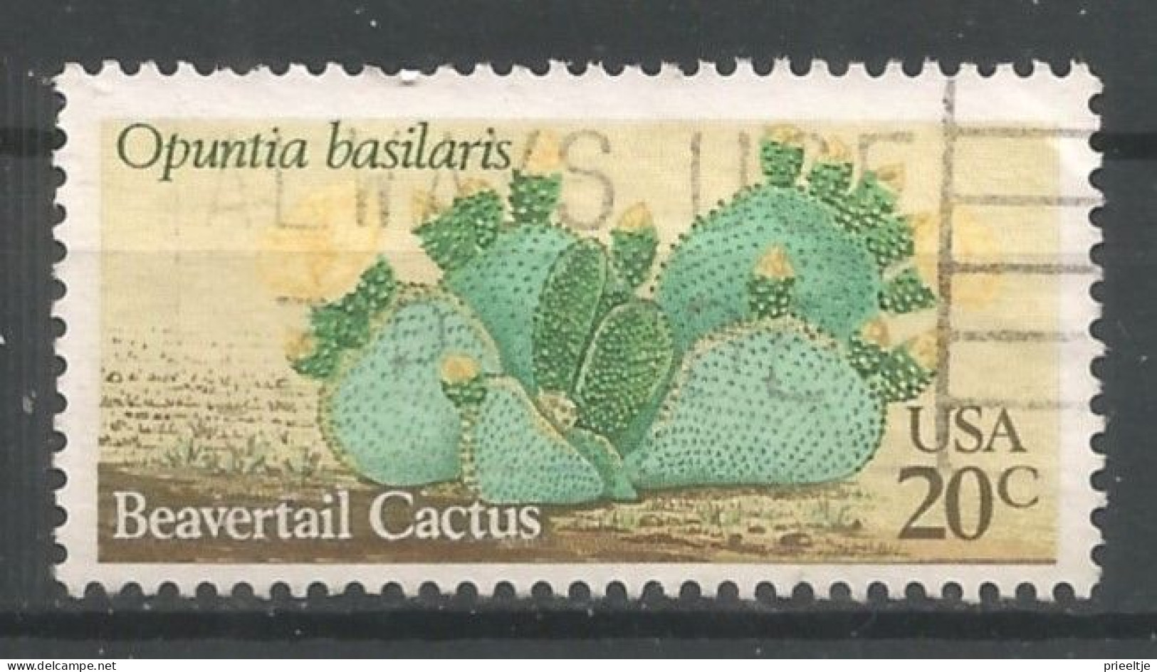 USA 1981 Cactusses VAR Yellow Flowers Instead Of Red Y.T. 1370 (0) - Oblitérés