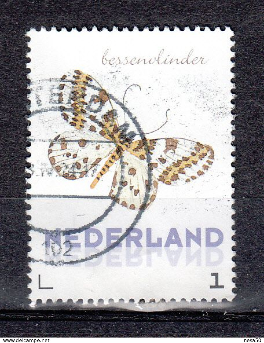 Nederland Persoonlijke:vlinder, Butterfly, Bessenvlinder - Gebraucht