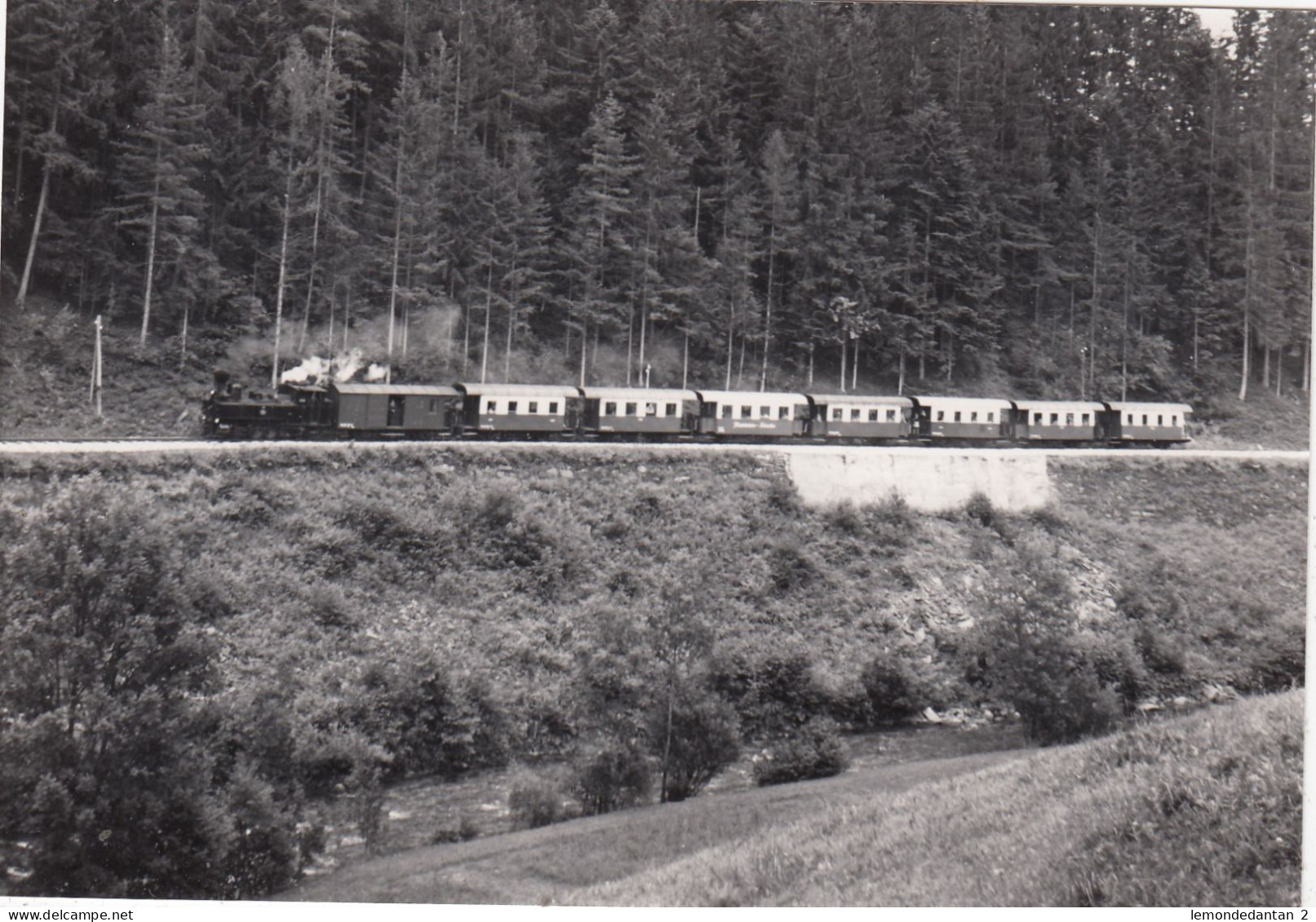 Tr. Weiz-Birkfeld Near Birkfeld. Photo, No Postcard 14 X 9,5 Cm. * - Weiz