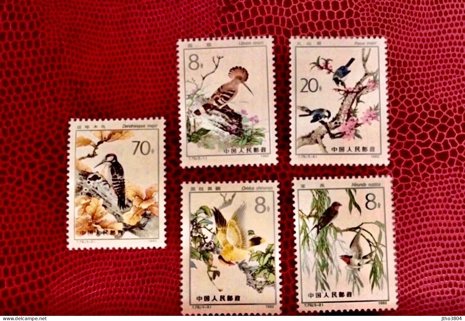 CHINE 1982 5v Neuf ** MNH YT 2535 / 2539 Ucello Oiseau Bird Pájaro CHINA - Passereaux