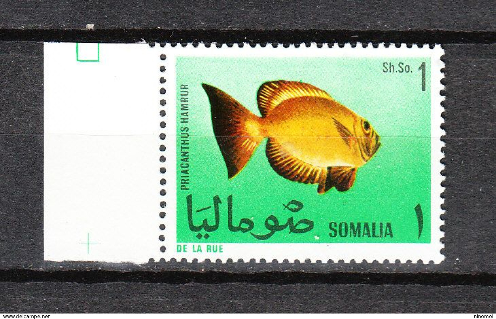 Somalia  - 1967. Pesce Del Mar Rosso. Red Sea Fish.  Priacanthus. MNH - Fische