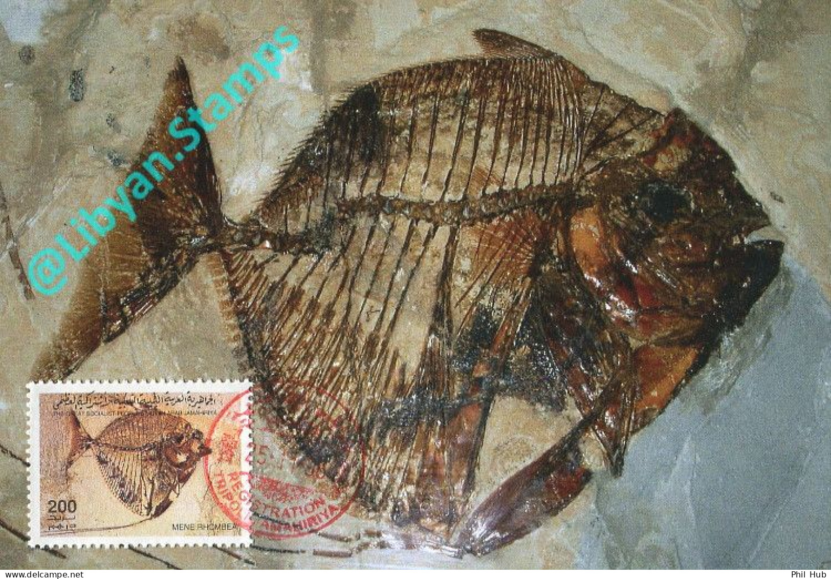 LIBYA 1996 Fossils "Mene Rhombea" Fishes (maximum-card) #1 - Fossils