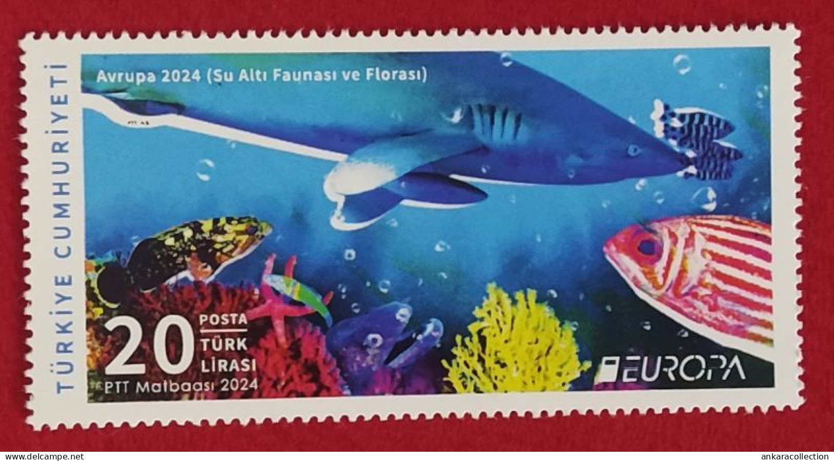 AC - TURKEY STAMP -  EUROPA 2024  UNDERWATER FAUNA AND FLORA  MNH ANKARA, 09 MAY 2024 - Unused Stamps