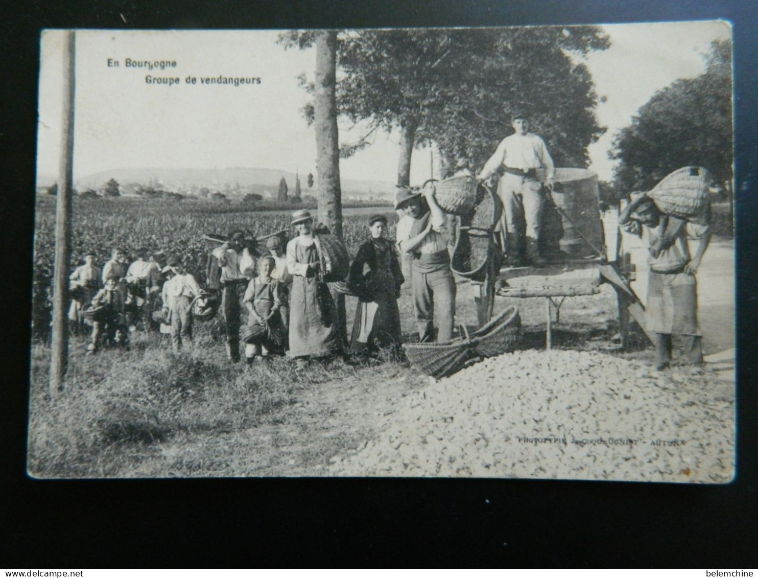 EN BOURGOGNE                       GROUPE DE VENDANGEURS - Bourgogne