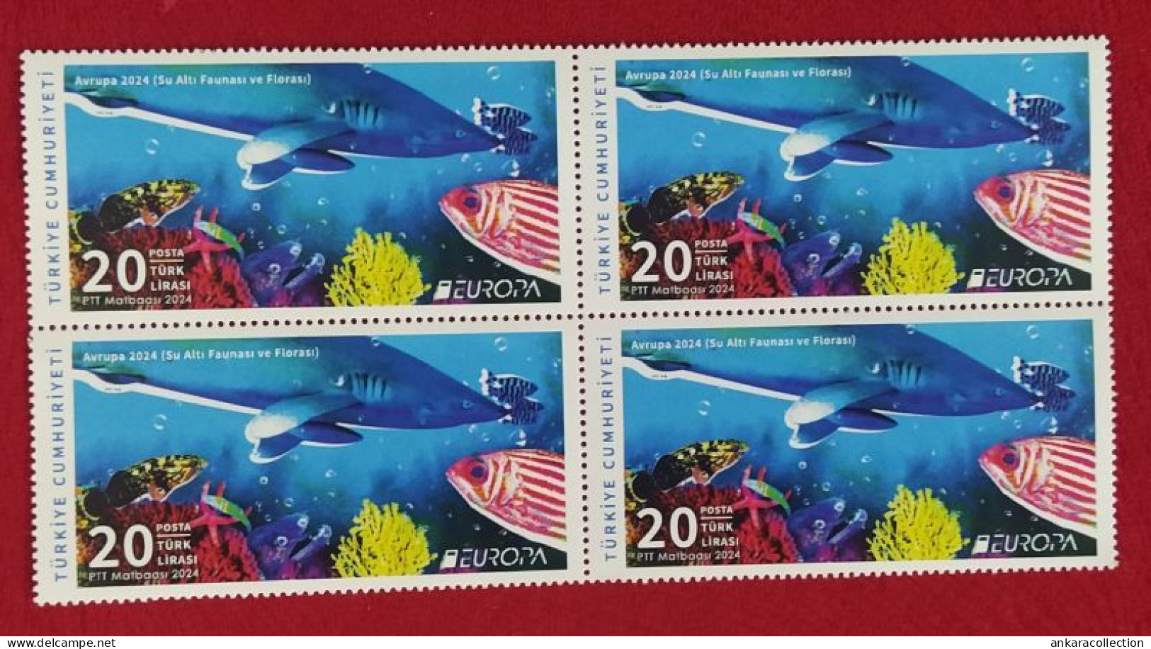 AC - TURKEY STAMP -  EUROPA 2024  UNDERWATER FAUNA AND FLORA  MNH BLOCK OF FOUR ANKARA, 09 MAY 2024 - Unused Stamps