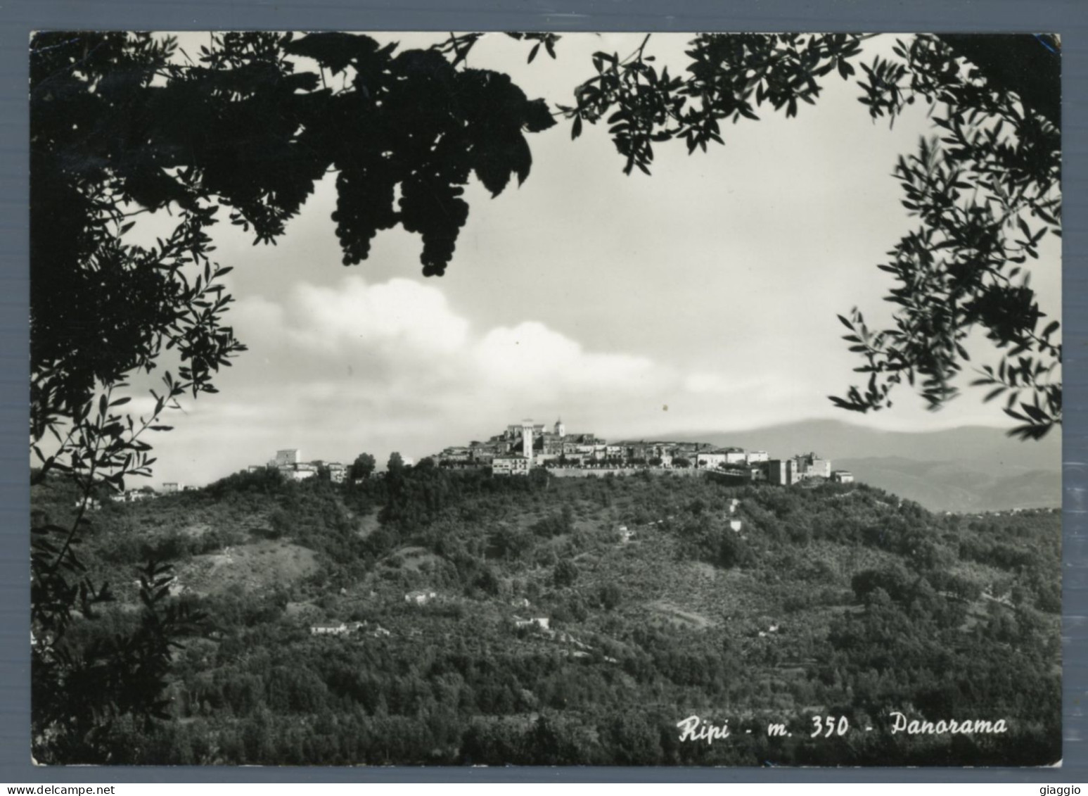 °°° Cartolina - Ripi - Panorama - Viaggiata °°° - Frosinone