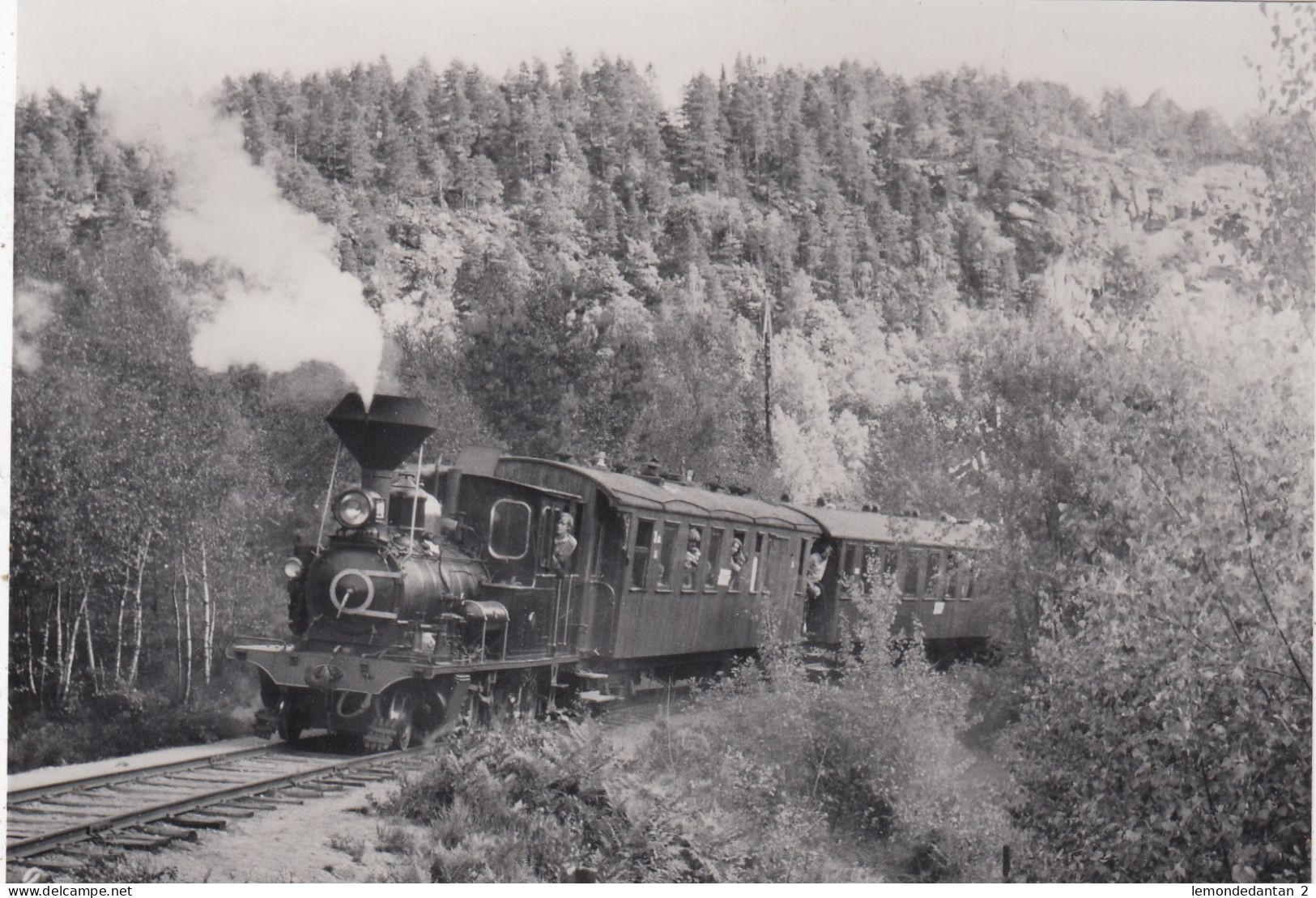 Setesdalsbanen. Tr. Near Grovane. Photo, No Postcard 14 X 9,5 Cm. * - Norway