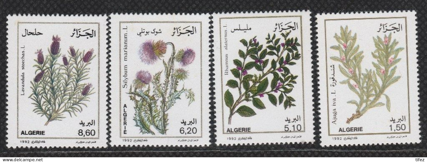 Année 1992-N°1022/1025 Neufs**MNH : Plantes Médicinales - Algerije (1962-...)