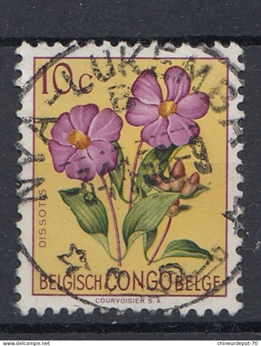 Congo Belge Fleur  Nya Lukemba - Usati